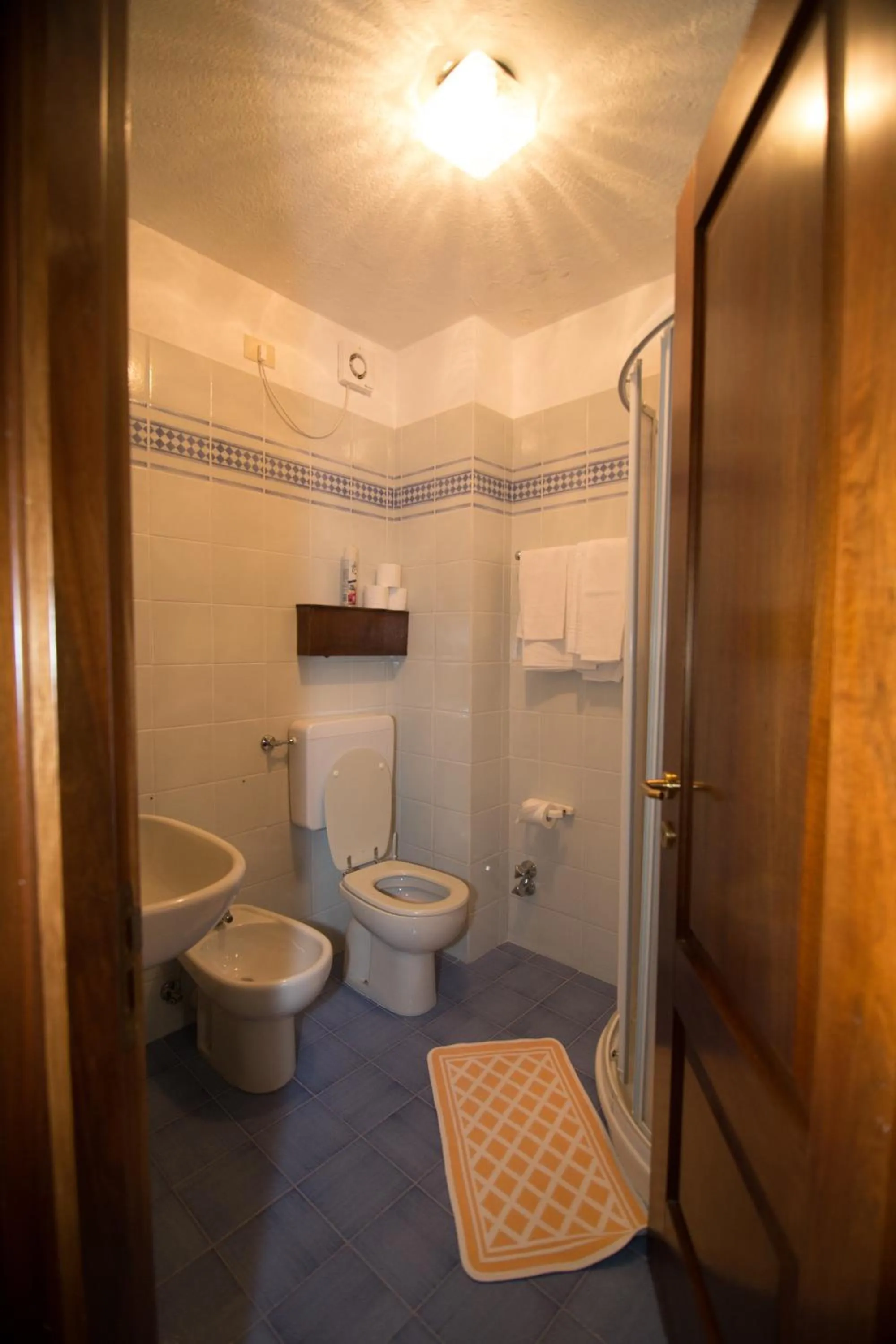 Bathroom in Hotel Edelweiss