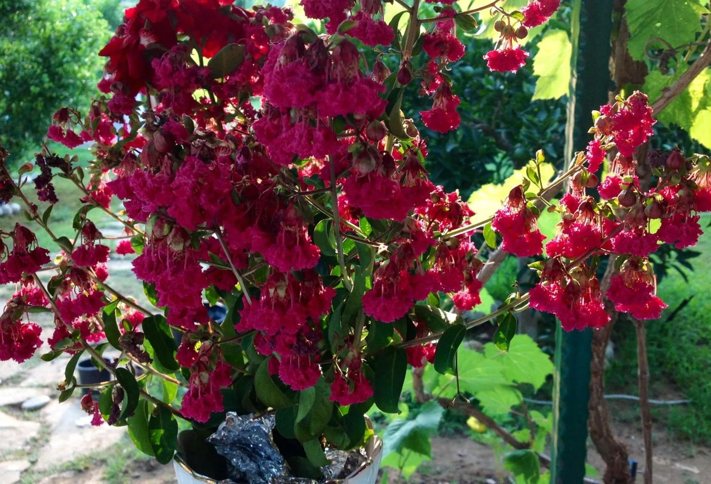 Spring in Turkuaz Bungalows