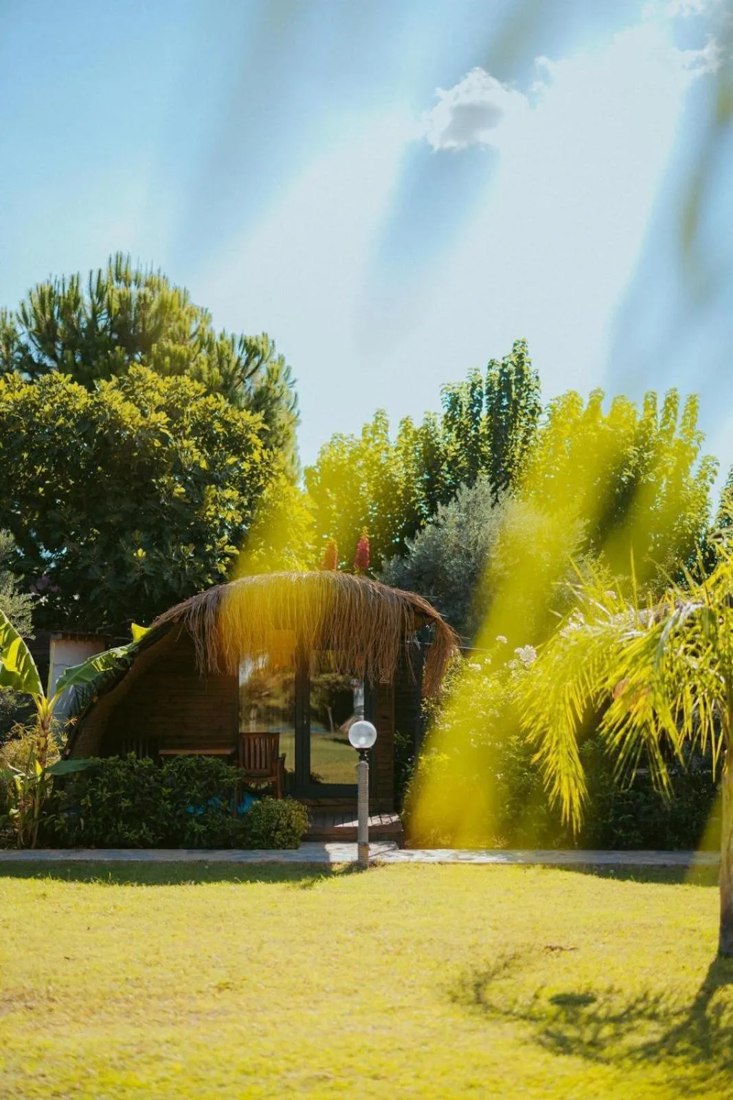Garden in Turkuaz Bungalows
