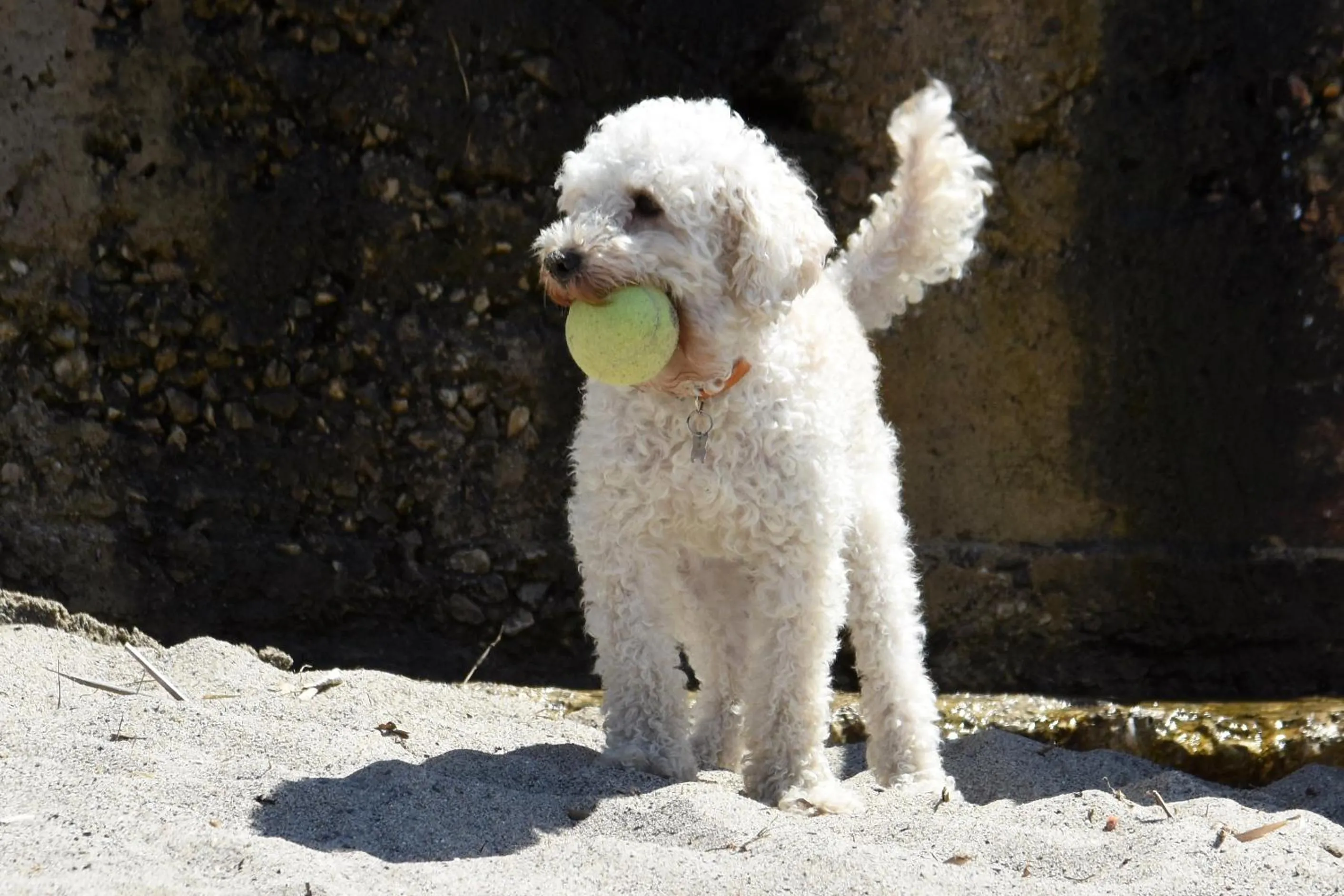 Activities in Resort Baia del Silenzio
