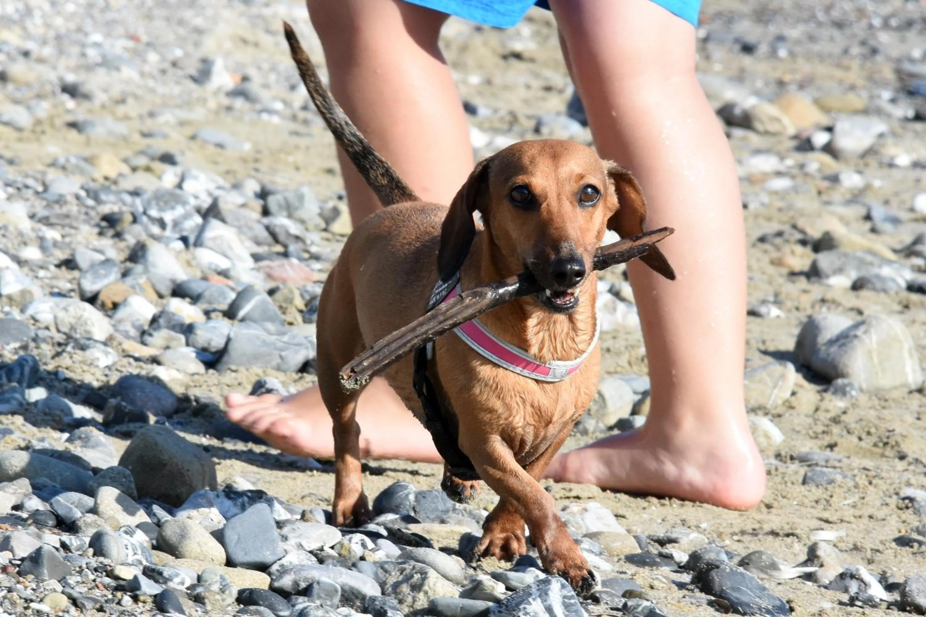 Activities in Resort Baia del Silenzio
