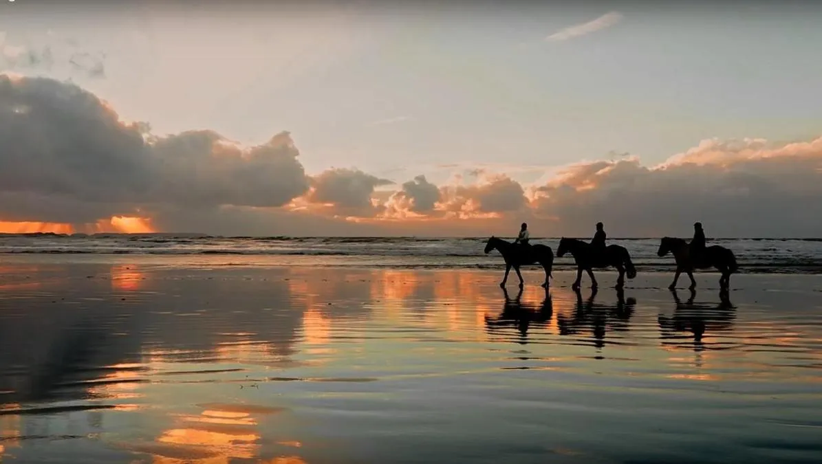 Natural landscape in Boutique Hotel Luna Azul