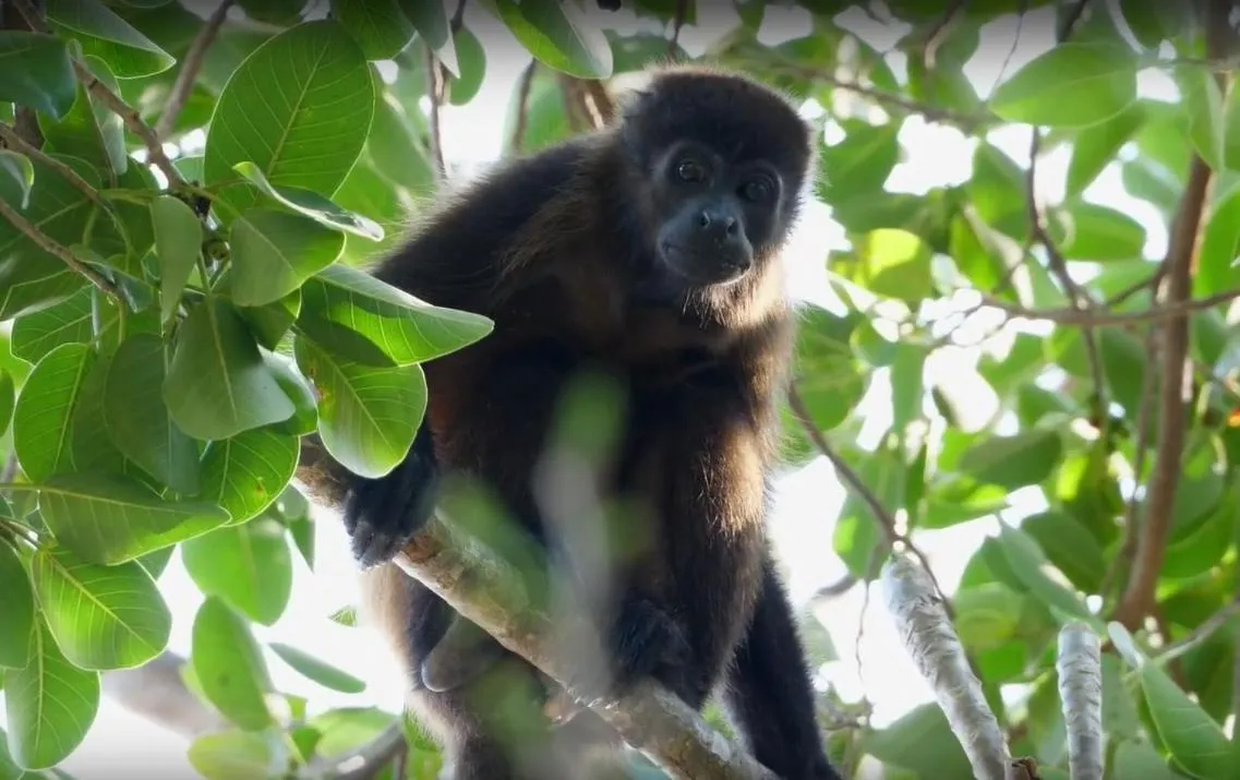 Natural landscape in Boutique Hotel Luna Azul
