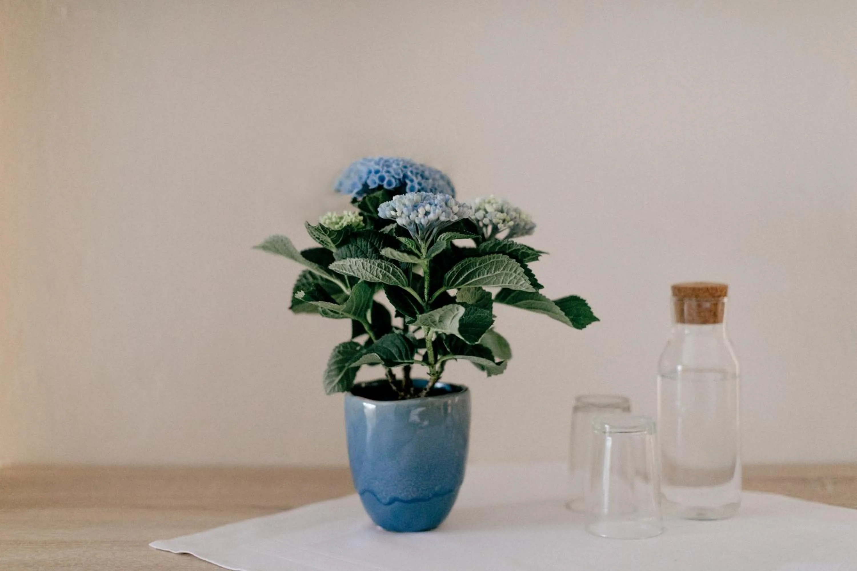 Decorative detail in Hotel Vogtareuther-Hof