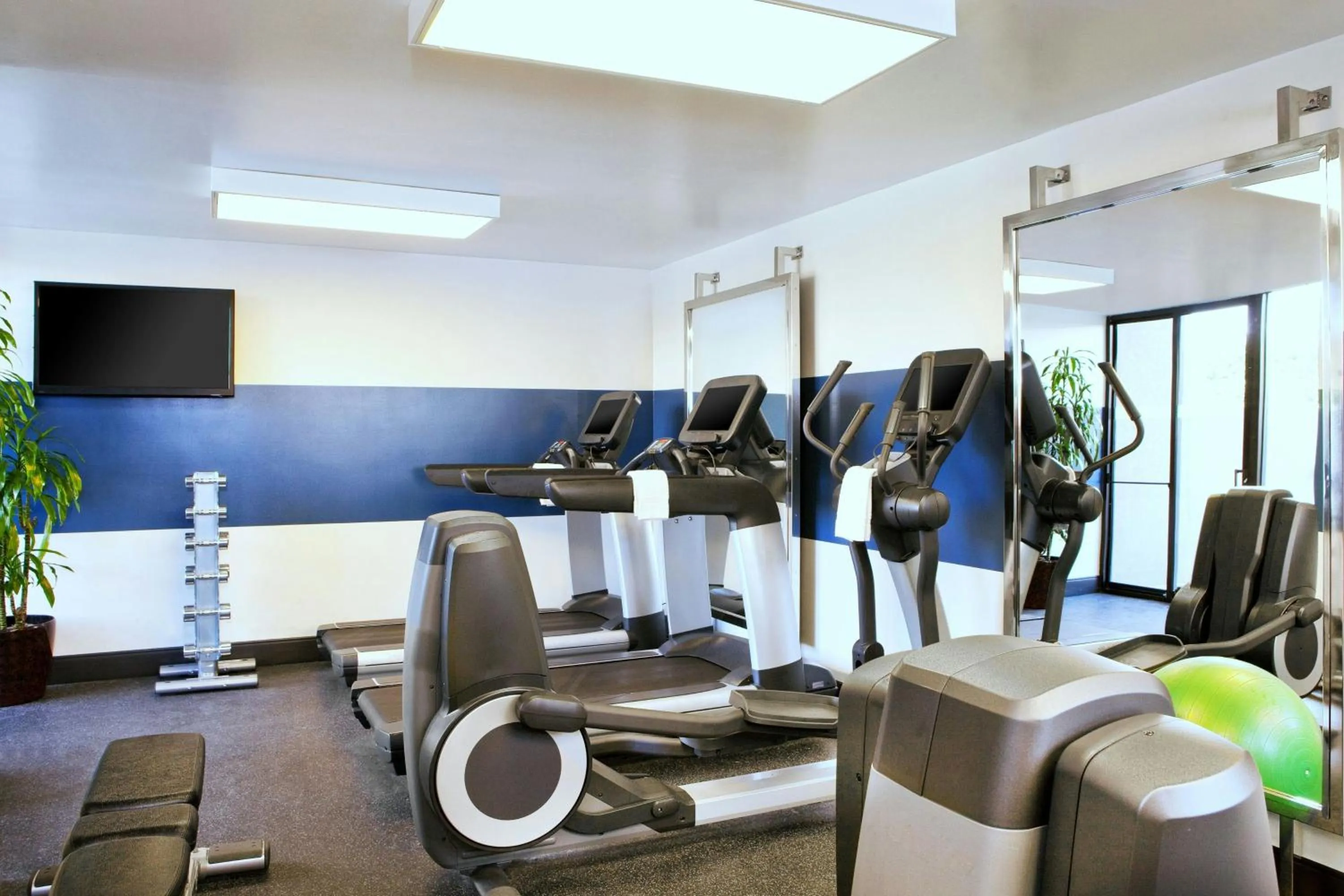 Fitness centre/facilities in Four Points by Sheraton - San Francisco Bay Bridge