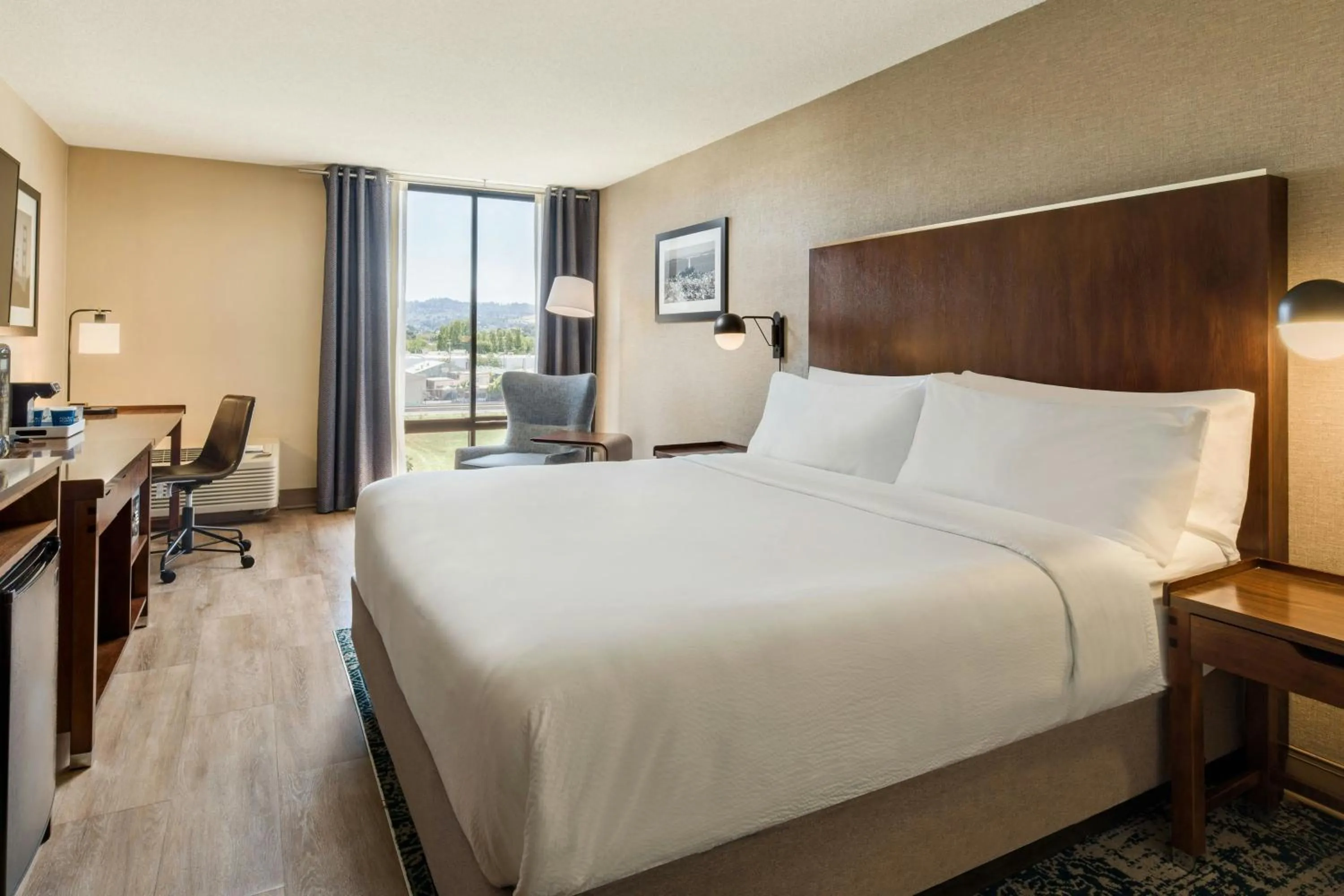Photo of the whole room, Bed in Four Points by Sheraton - San Francisco Bay Bridge