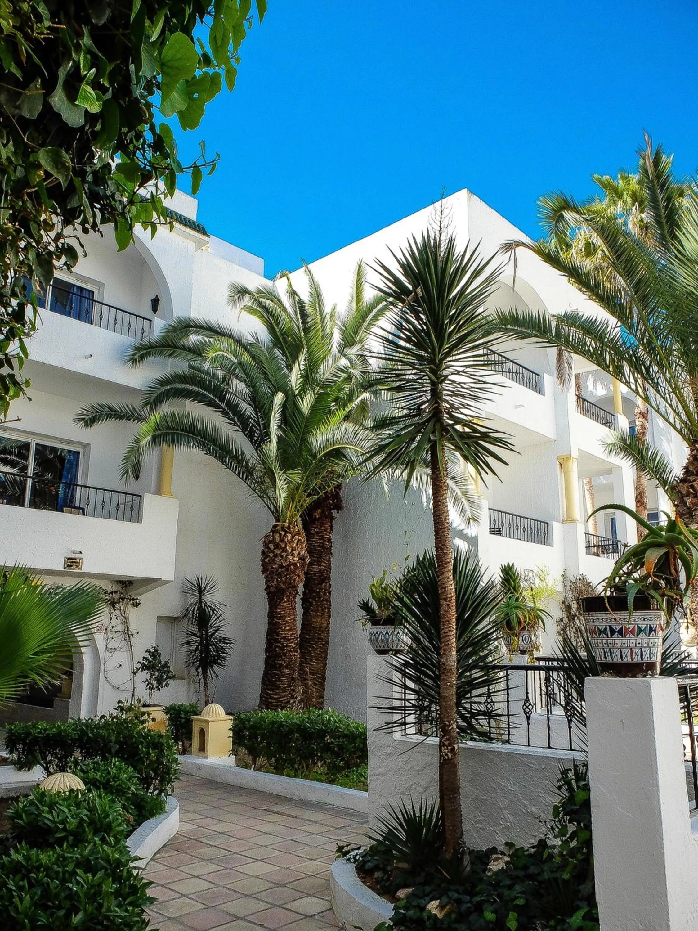 Garden in Emira Hotel