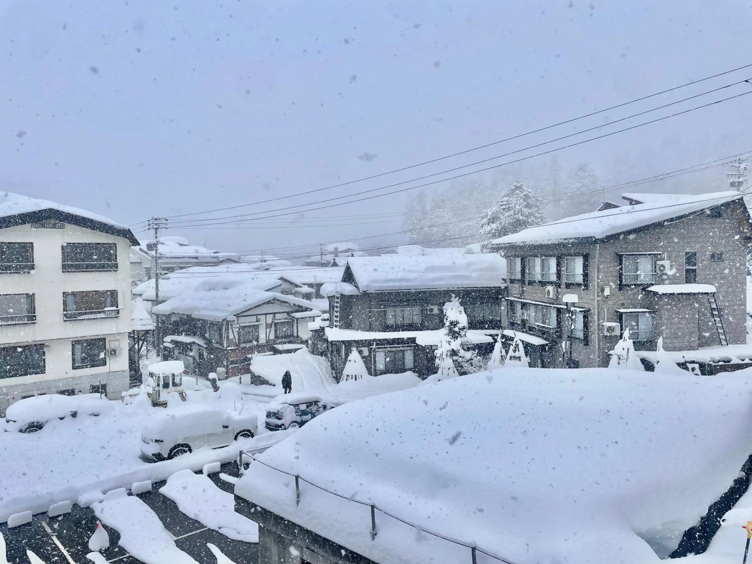 Bamboo-Hill NozawaOnsen