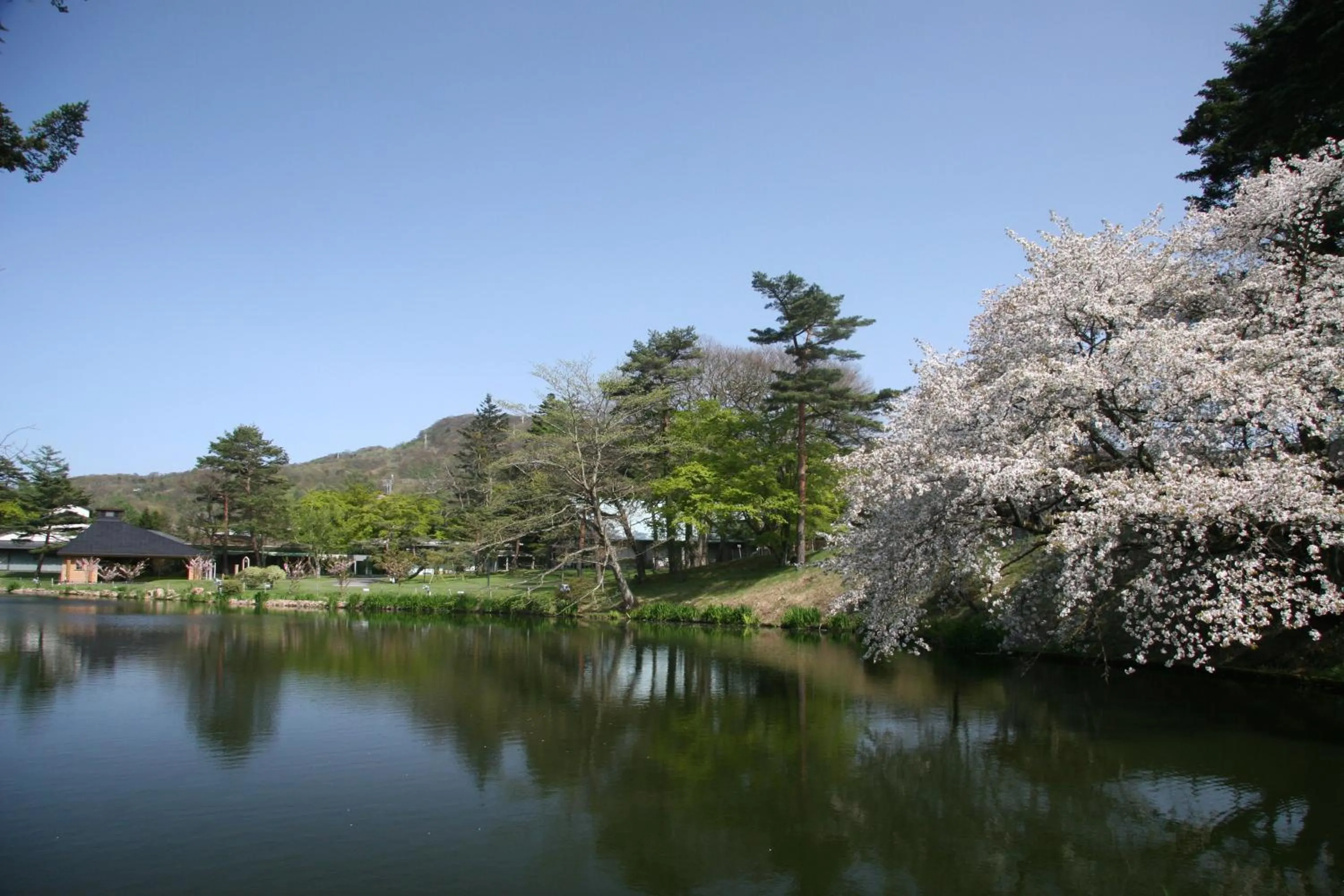 Garden in Karuizawa Prince Hotel West