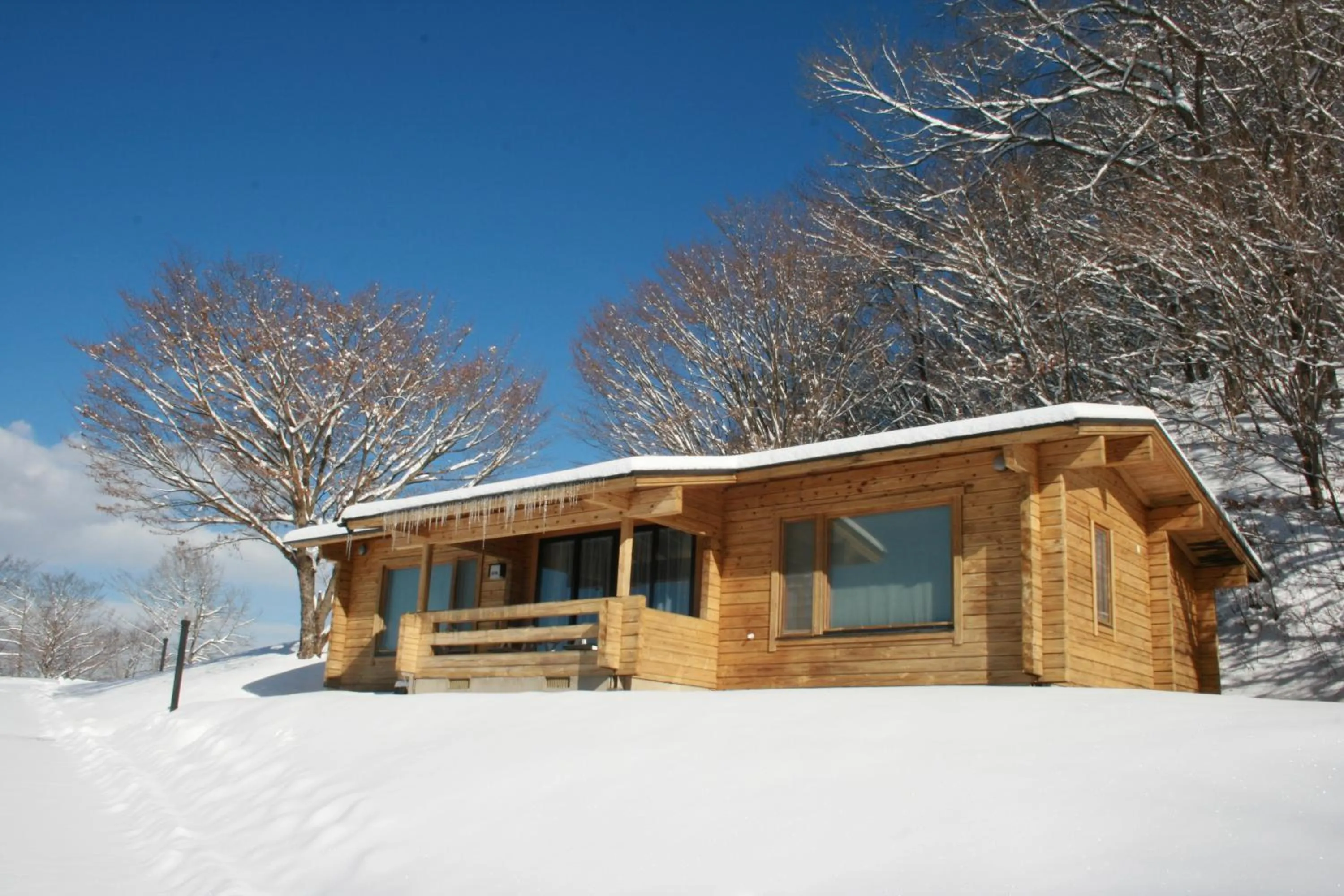 Property building in Karuizawa Prince Hotel West