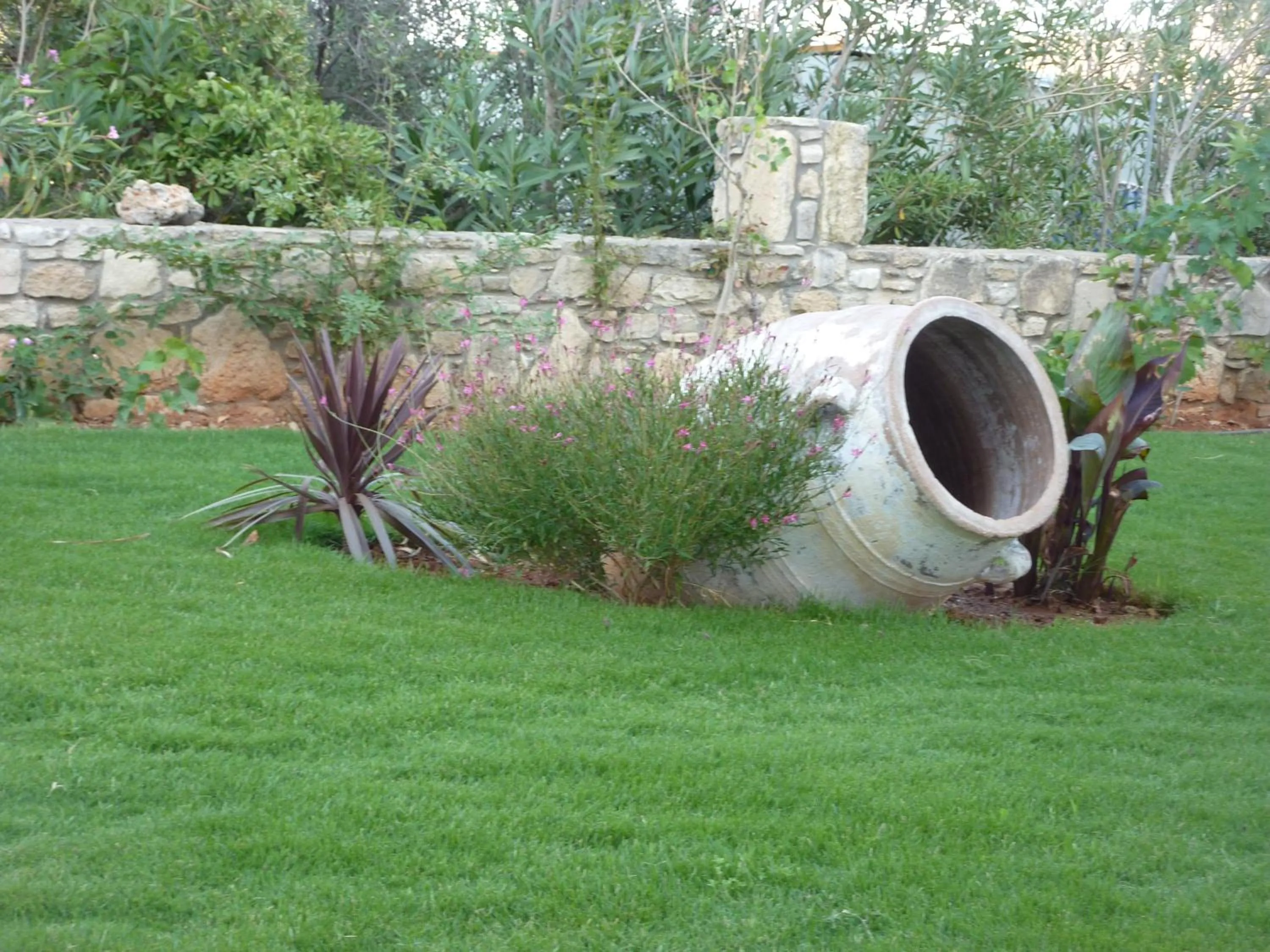 Garden in Arsinoi Studios and Apartments
