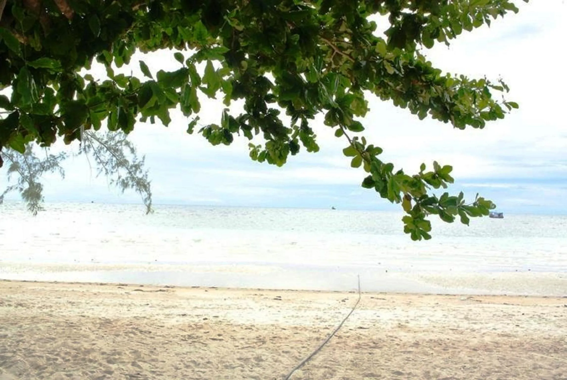 Beach in Island Spa Resort