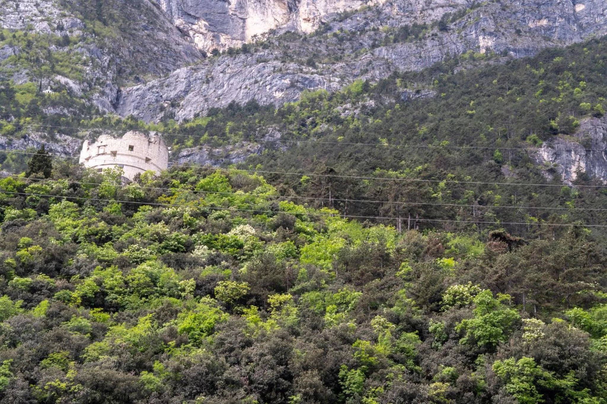 View (from property/room) in Casa Canarino