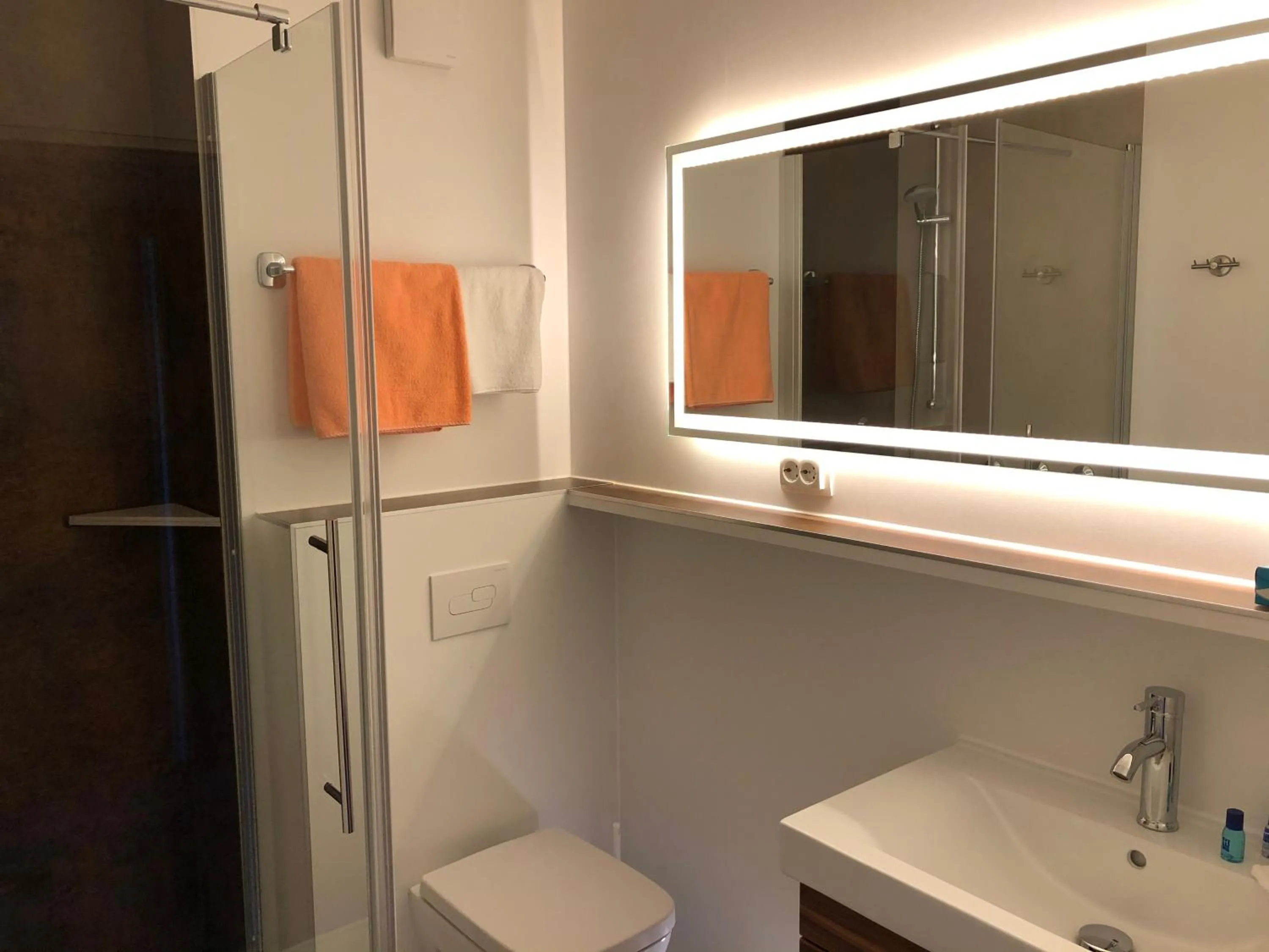 Shower in Hotel Haus am Rieth