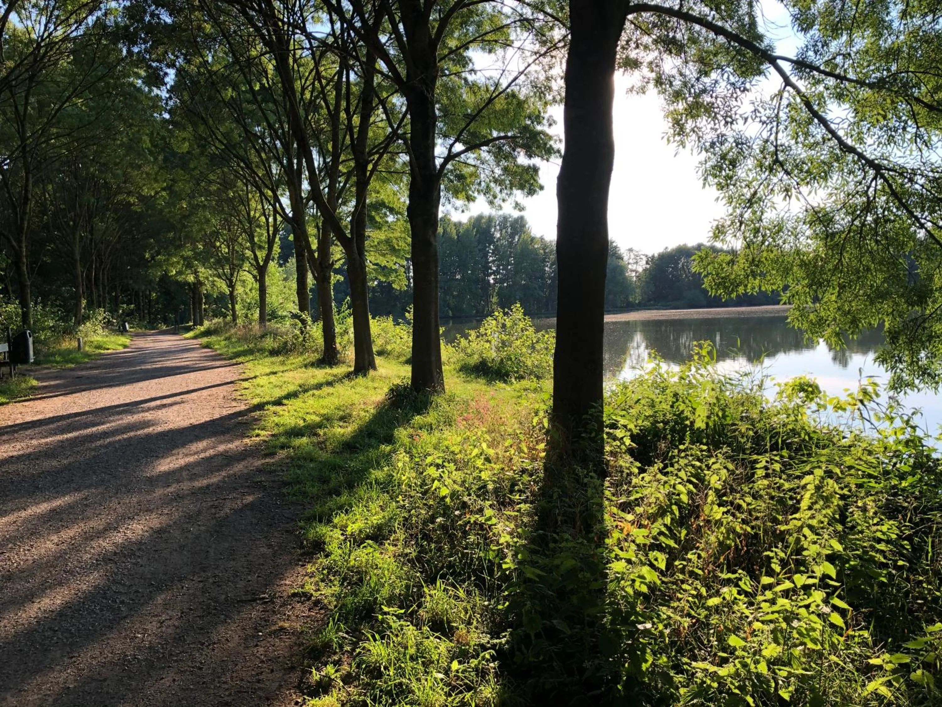 Natural landscape in Hotel Haus am Rieth