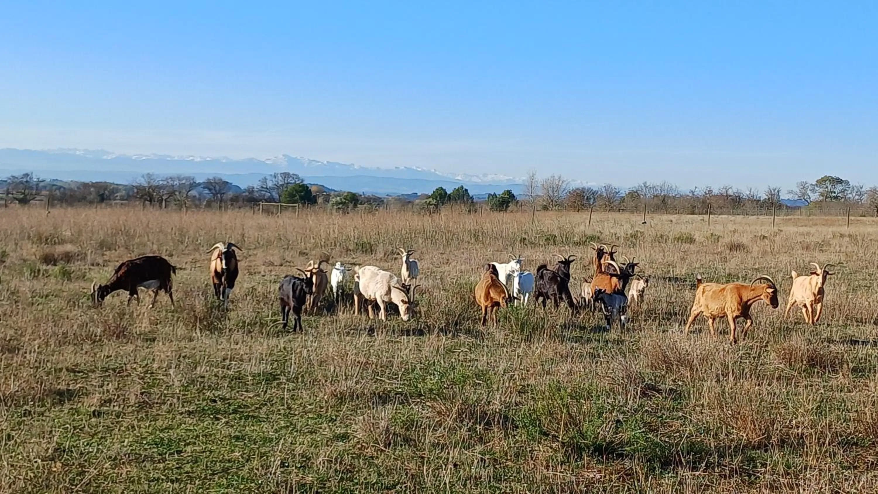 Garden in Domaine de la Matte