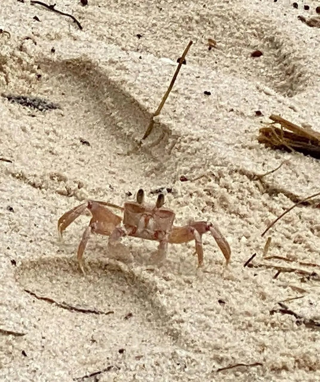 Off site in Aqua Resort