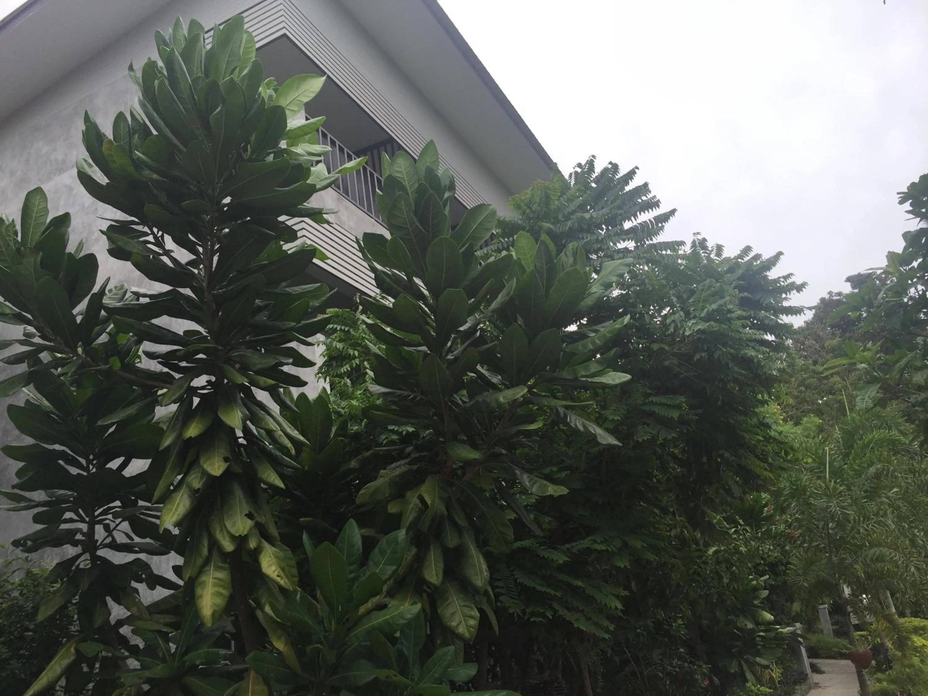 Day in Baan Suan Ta Hotel