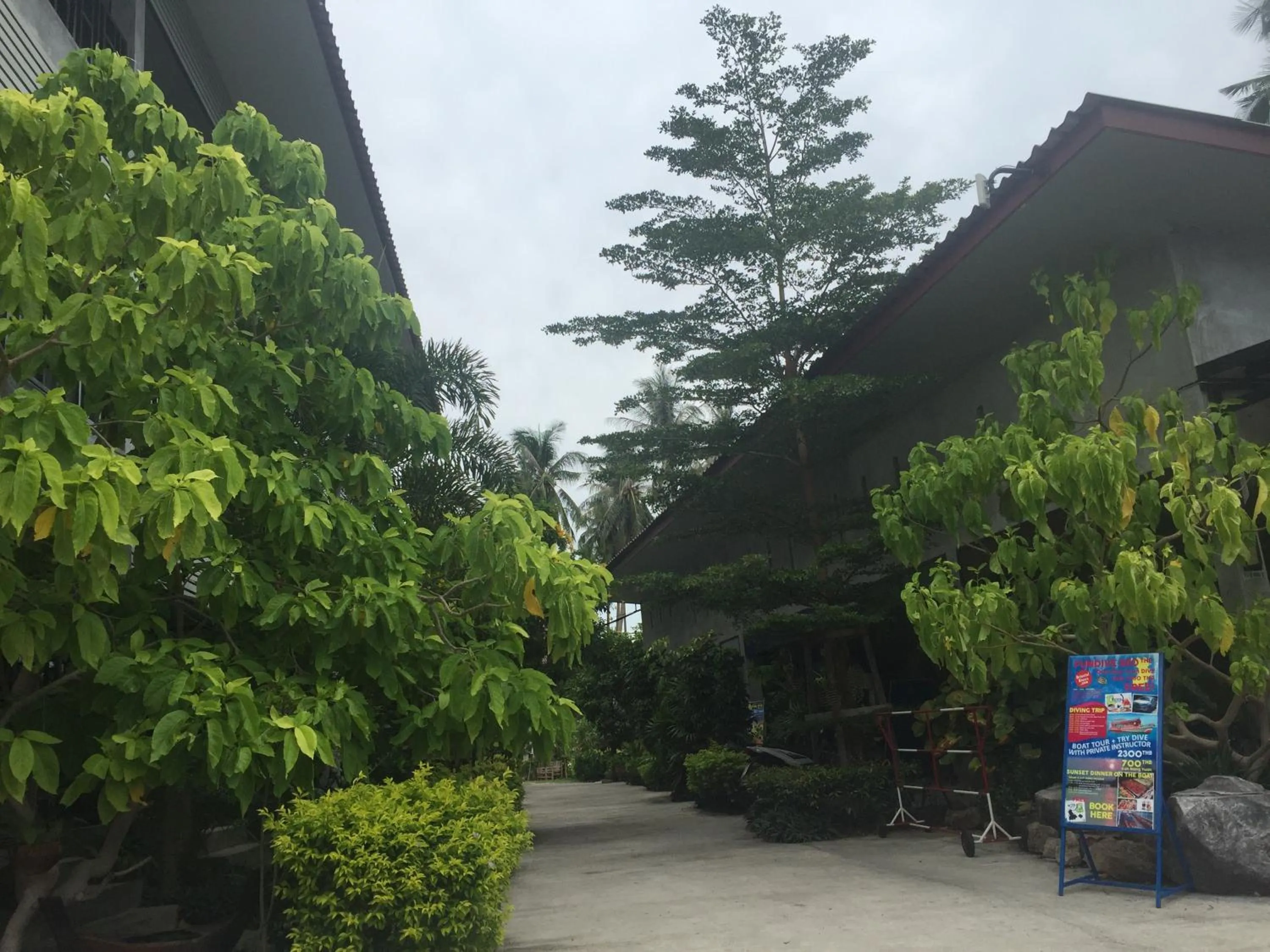 Area and facilities in Baan Suan Ta Hotel