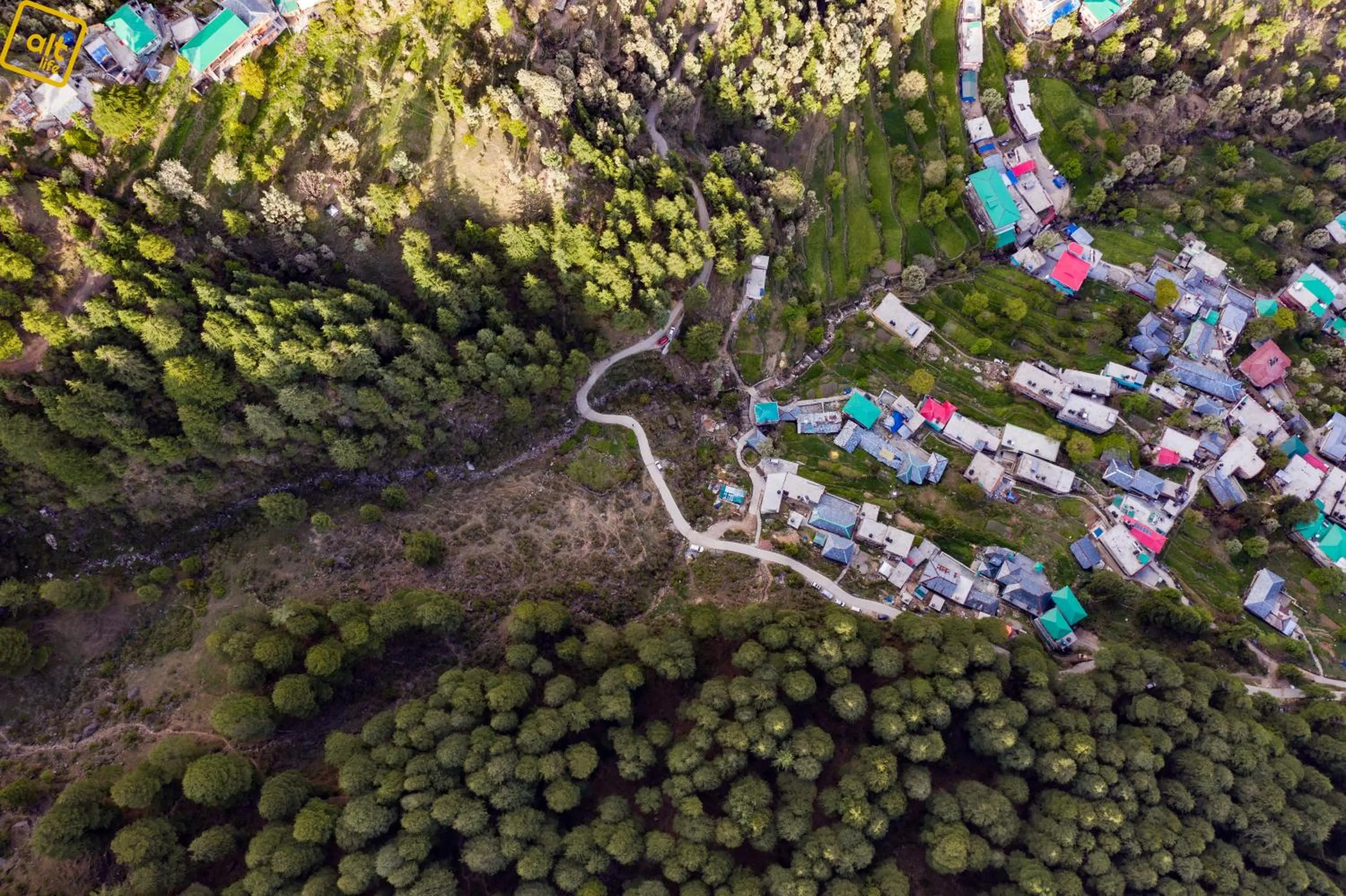 Bird's eye view in Alt Life Stays - Dharamkot Mcleodganj