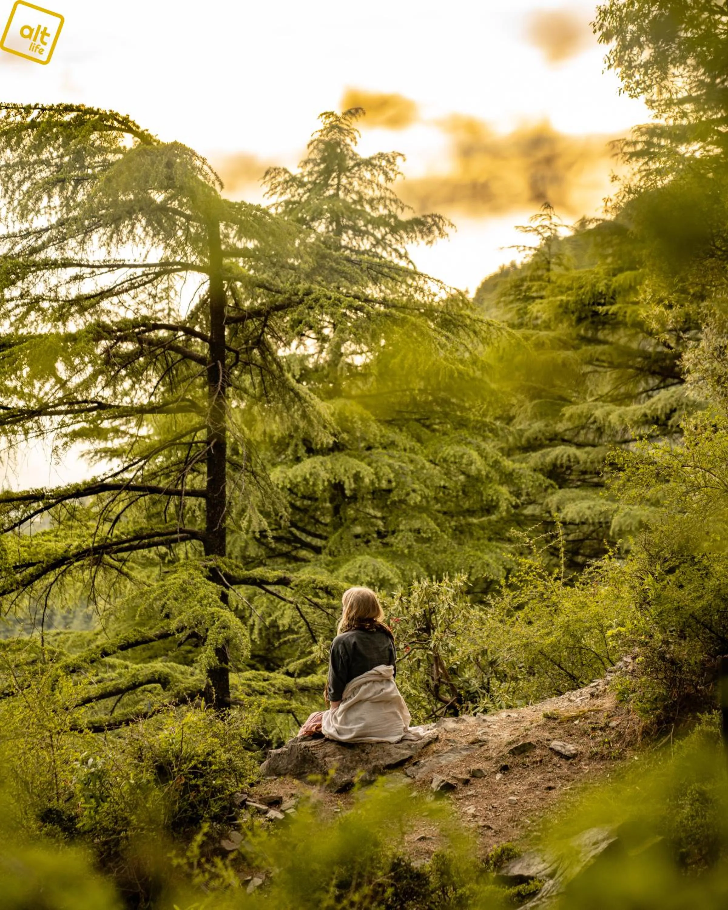 View (from property/room) in Alt Life Stays - Dharamkot Mcleodganj
