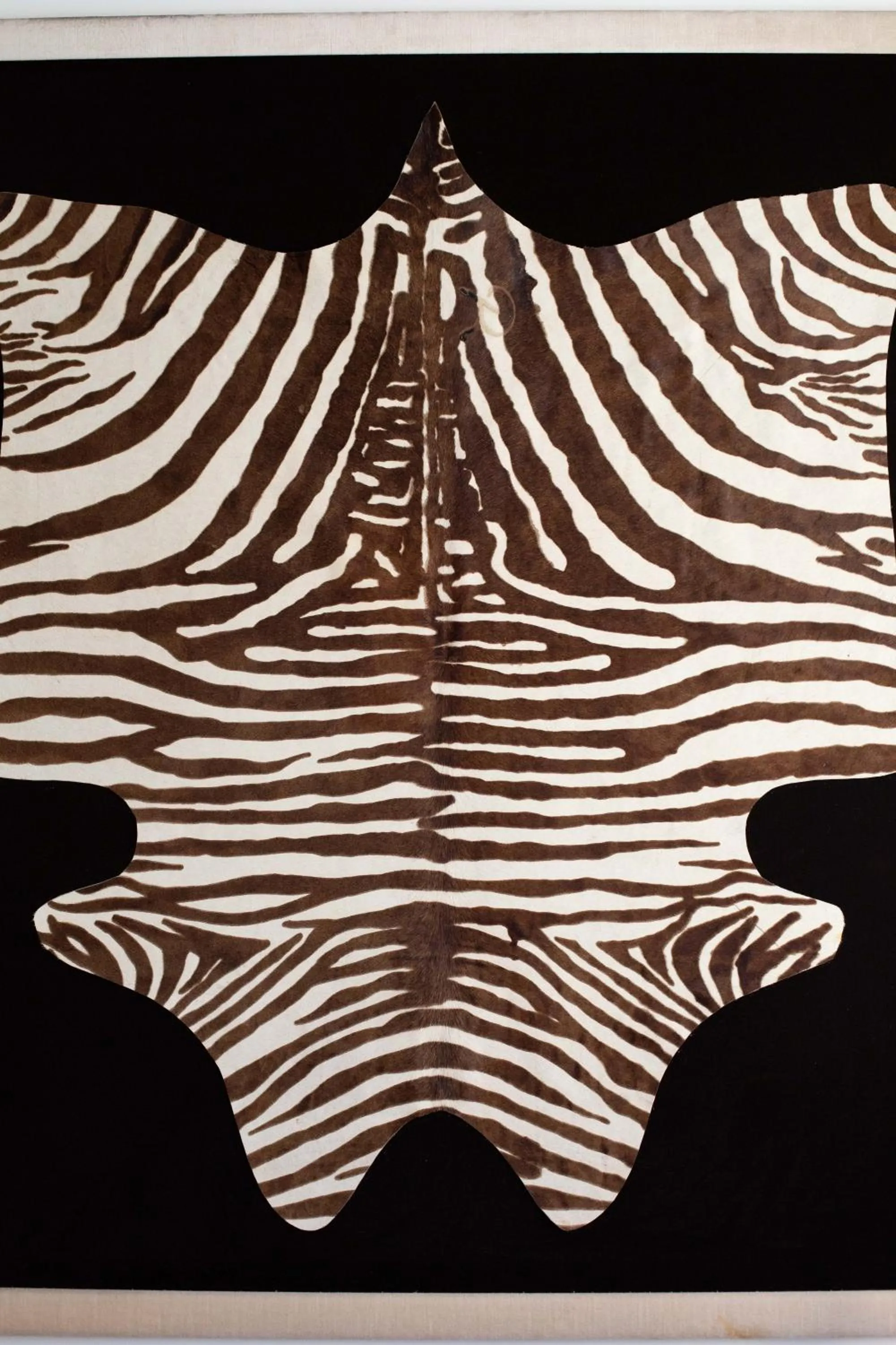 Les Lofts d'Artistes