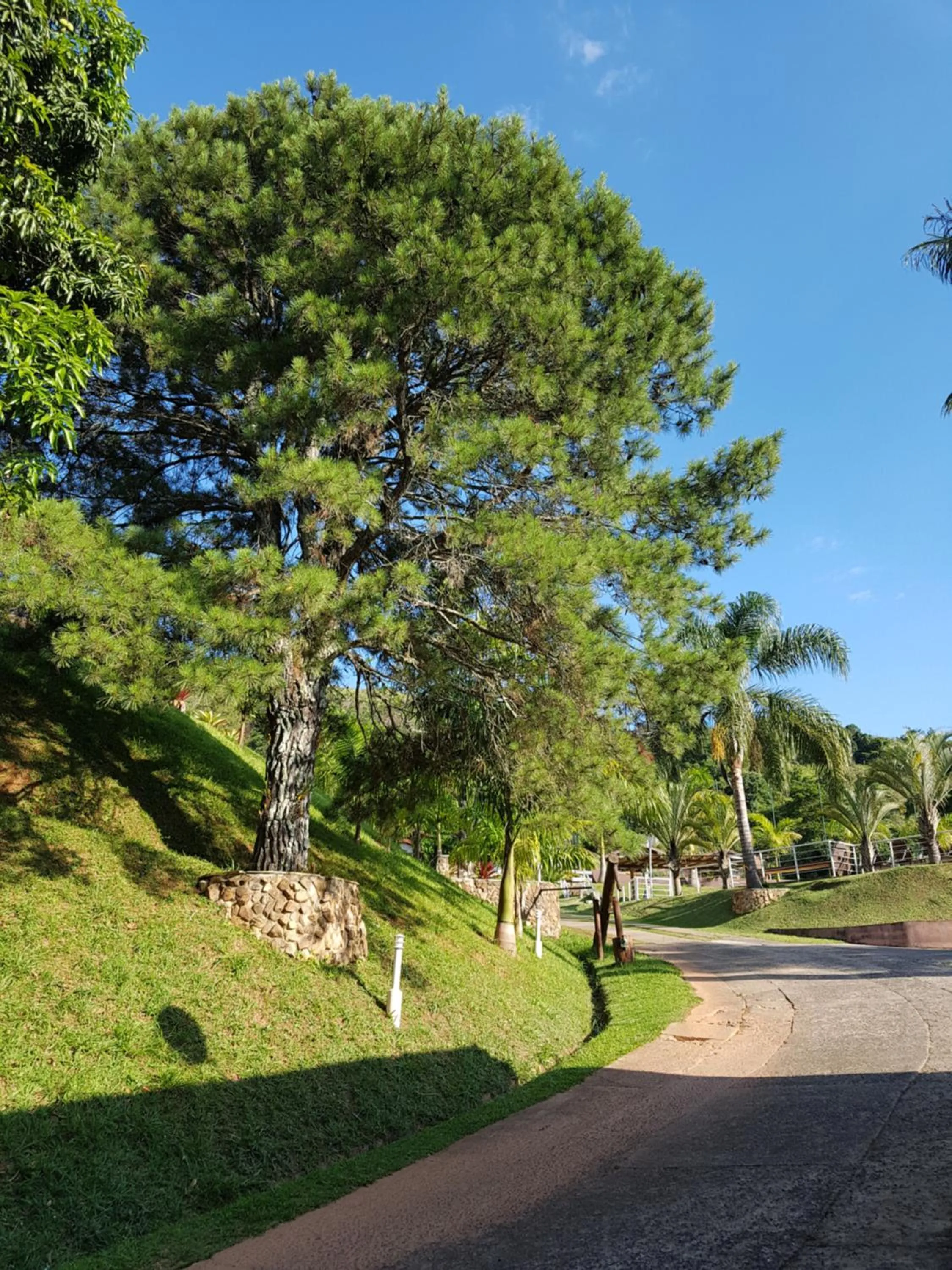 Landmark view in Pousada Nefelibatas