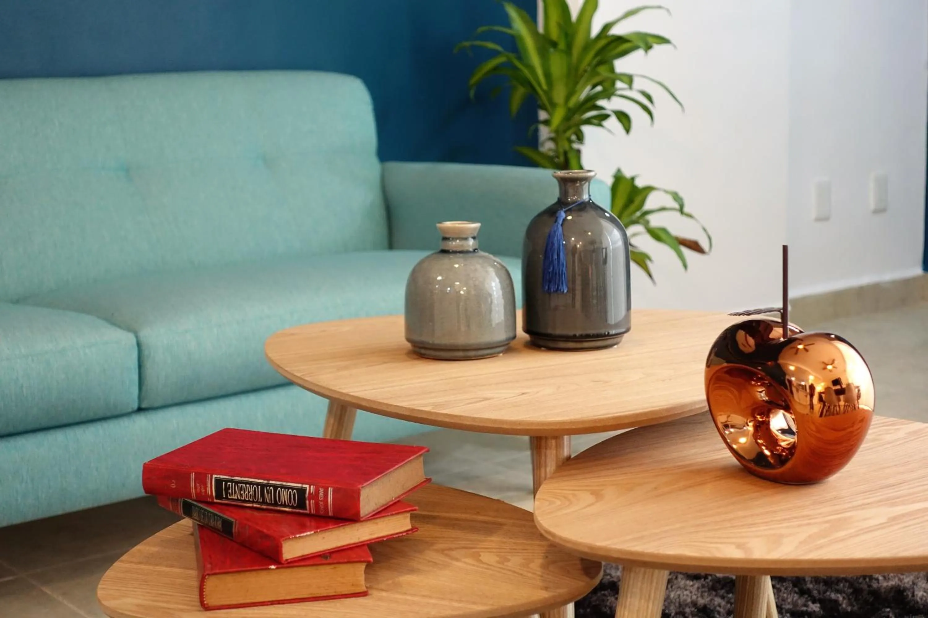 Ideal tu casa fuera de casa