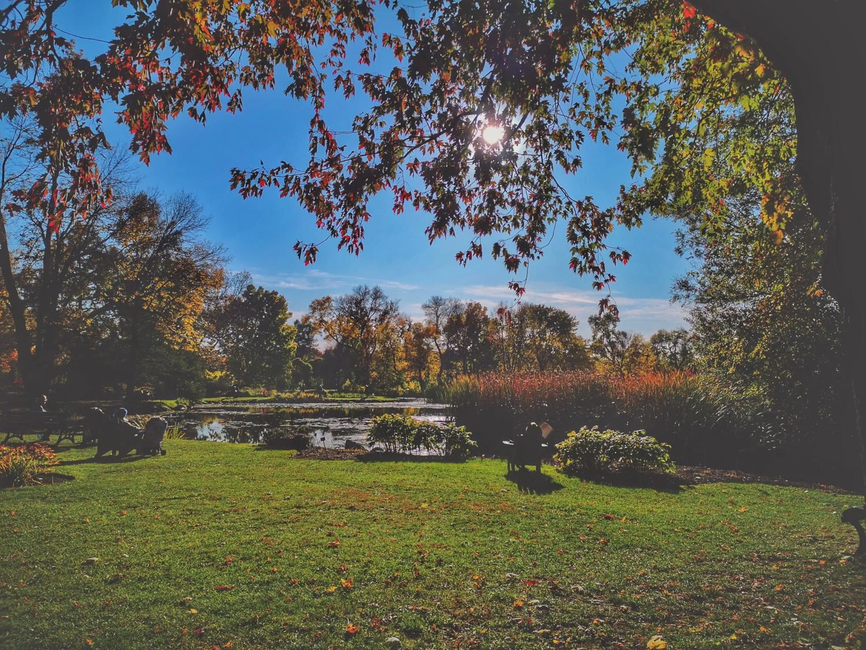 Neighbourhood in HoMa Homestay Hotel by Olympic Stadium Montreal Auberge-Hostel