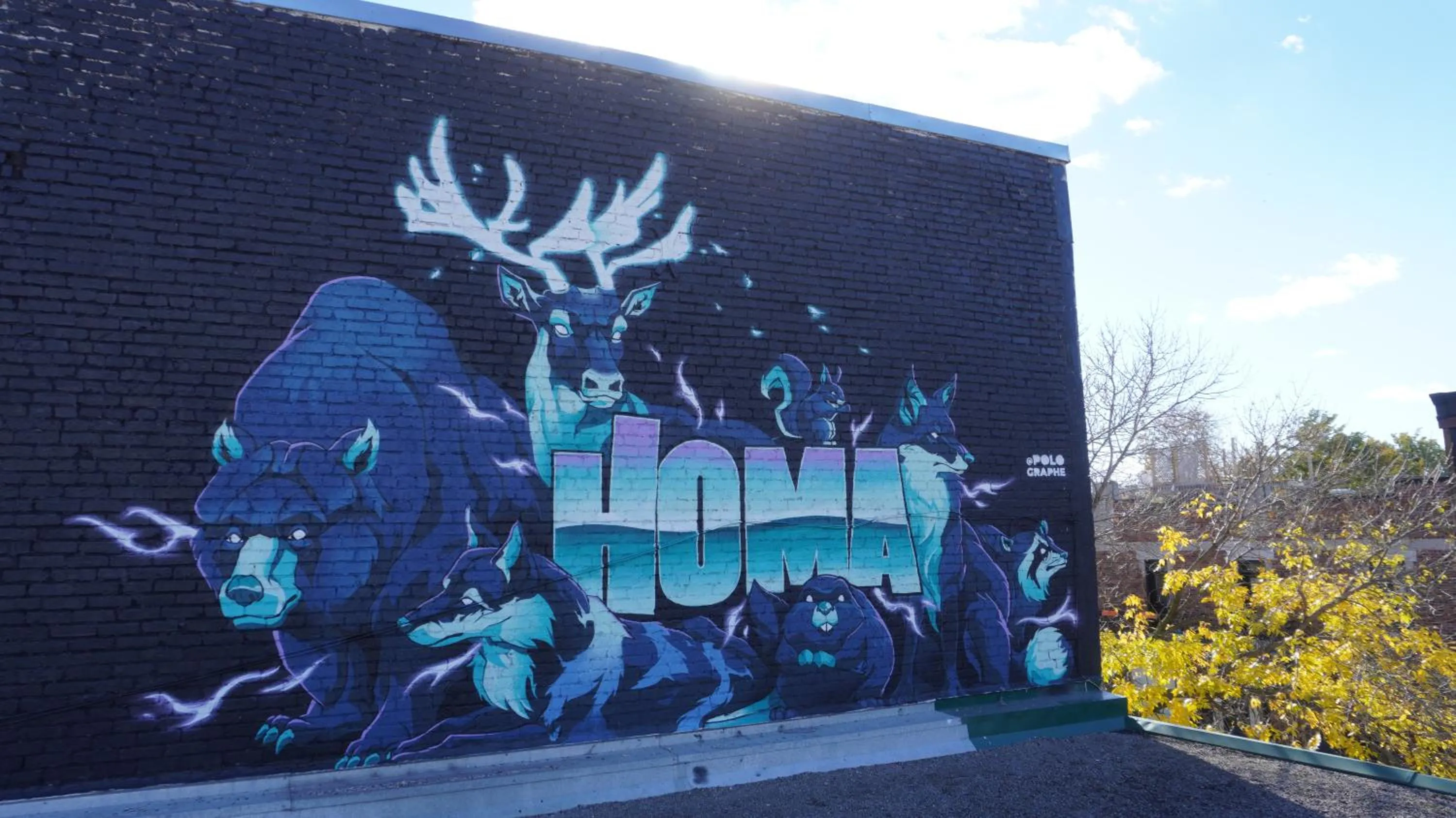 Property building in HoMa Homestay Hotel by Olympic Stadium Montreal Auberge-Hostel