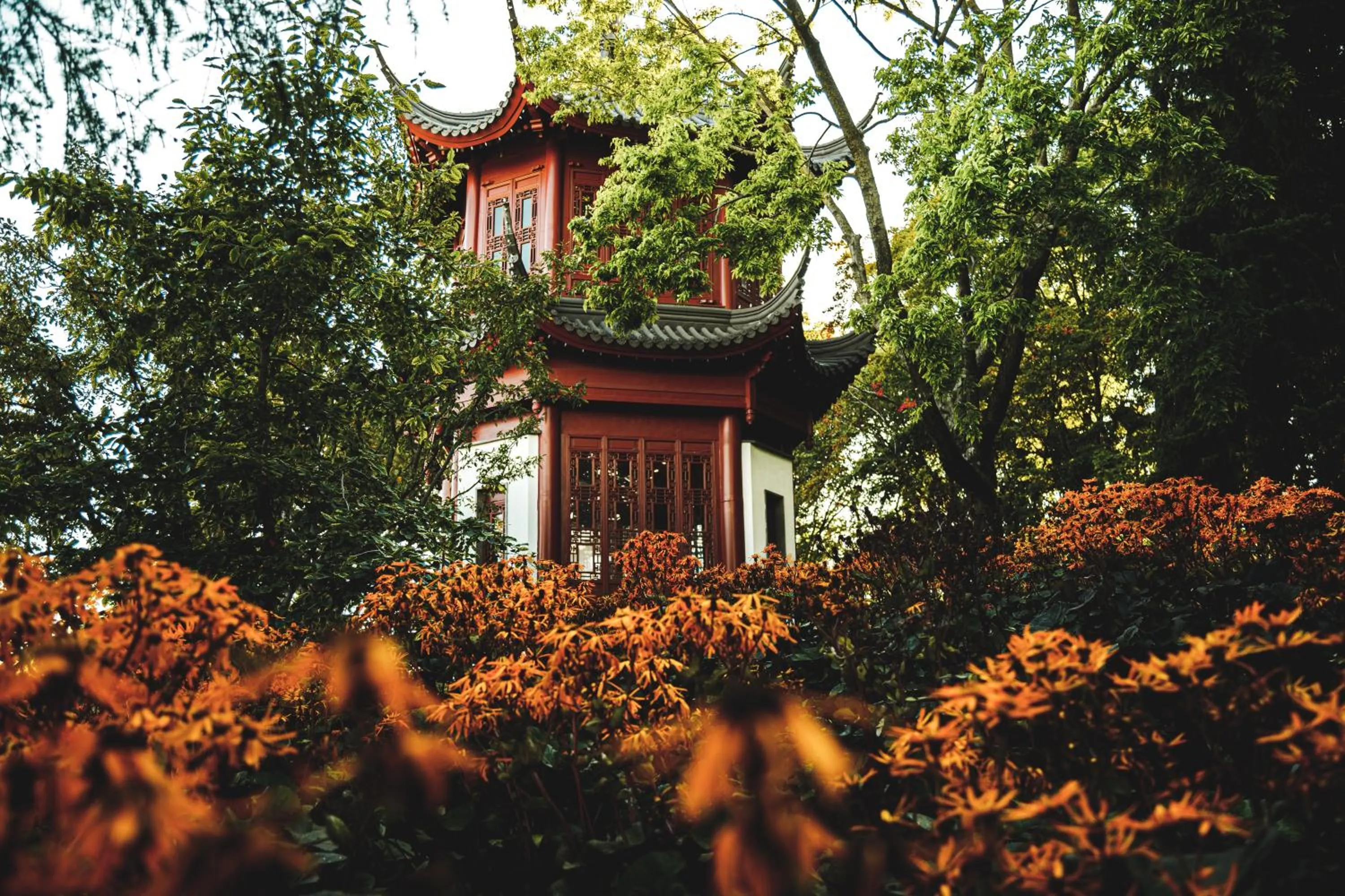 Nearby landmark in HoMa Homestay Hotel by Olympic Stadium Montreal Auberge-Hostel