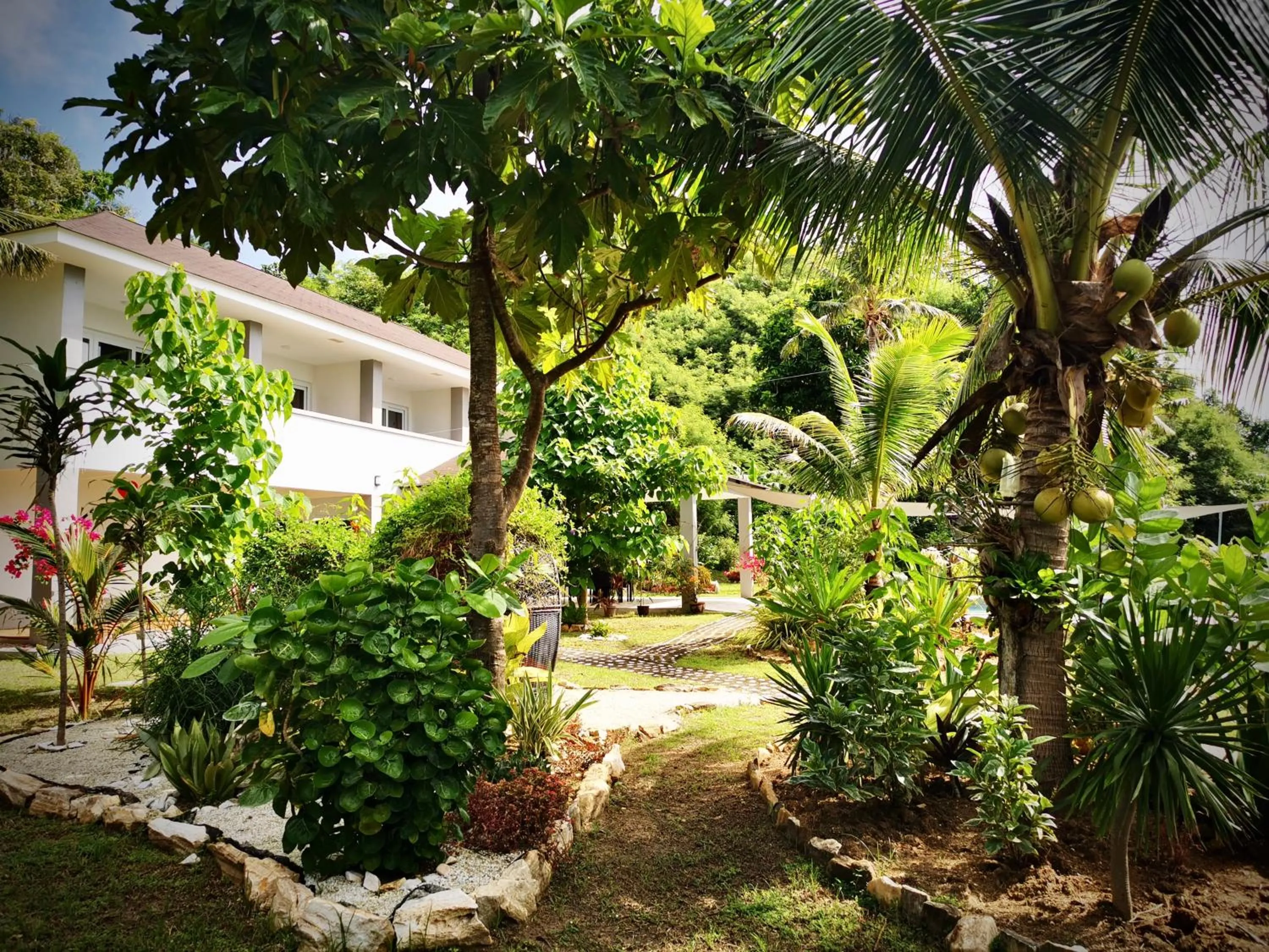 Day in Sunset Cove Beach & Dive Resort