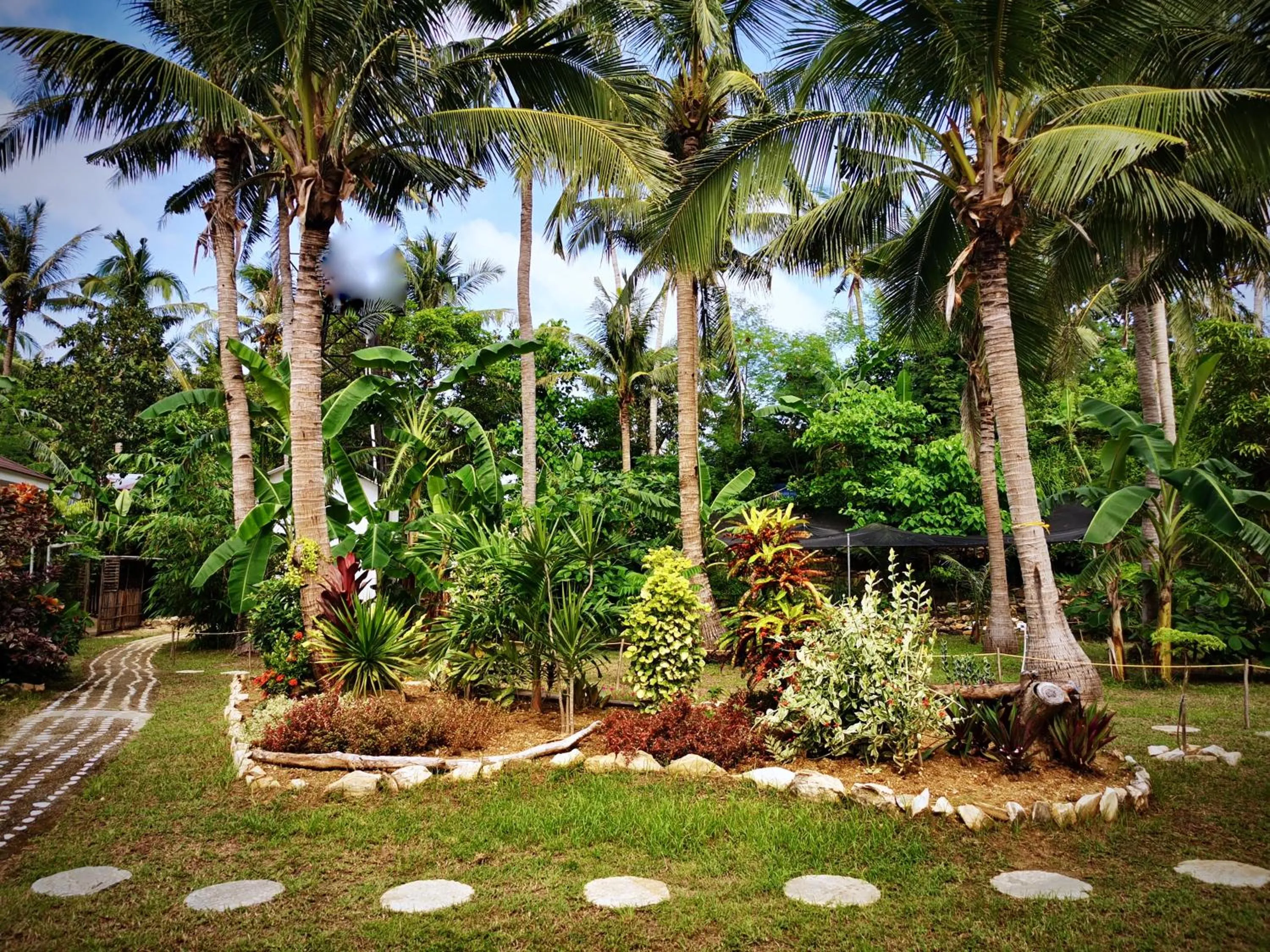 Day in Sunset Cove Beach & Dive Resort