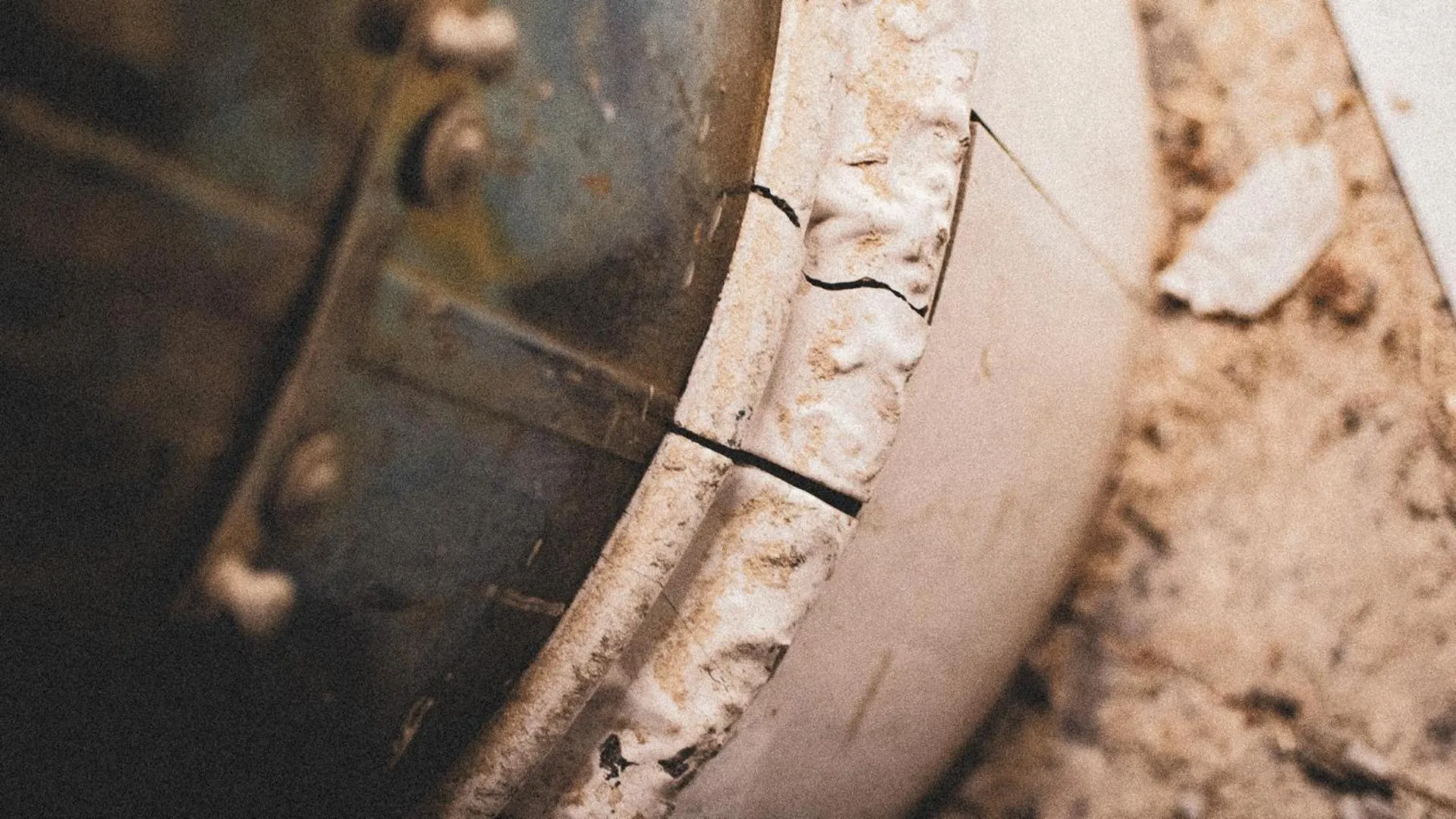 Day, Other Animals in Pop House Hotel