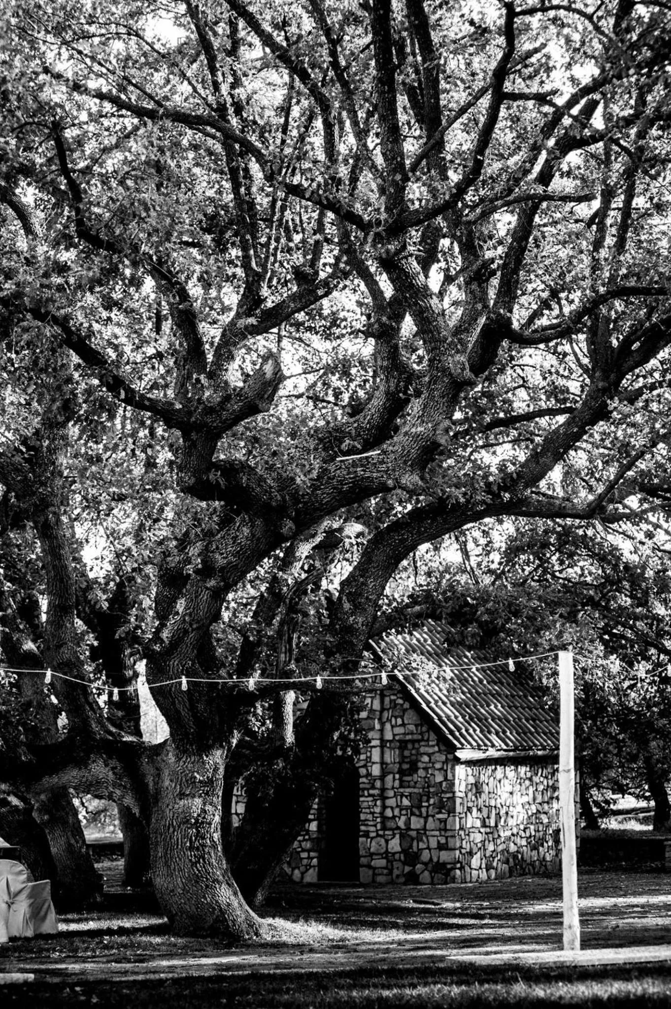 Villa delle Querce Resort