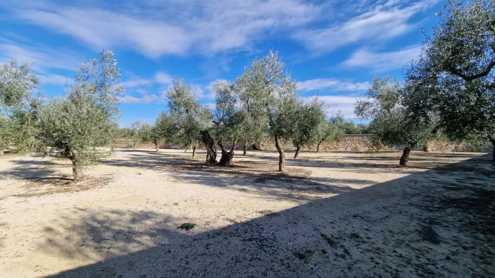 Villa delle Querce Resort