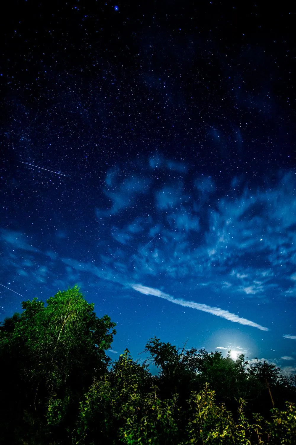 Natural landscape in Nyirfa Apartmanház Döröske
