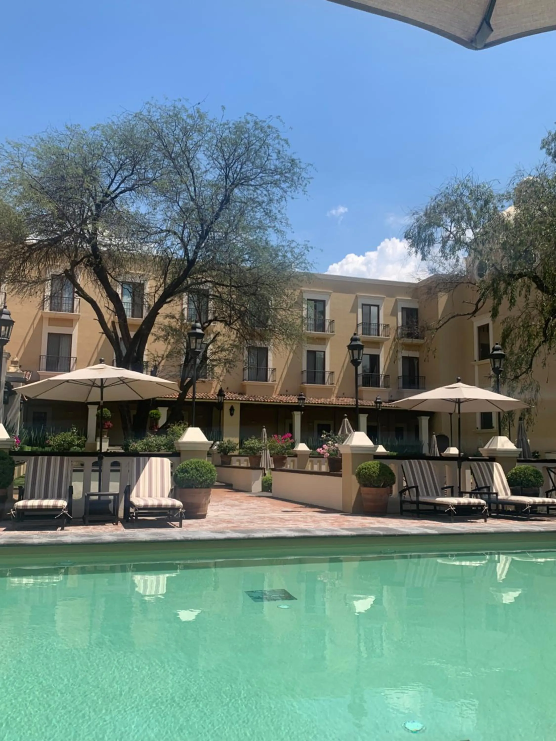 Swimming pool in Villa Antigua