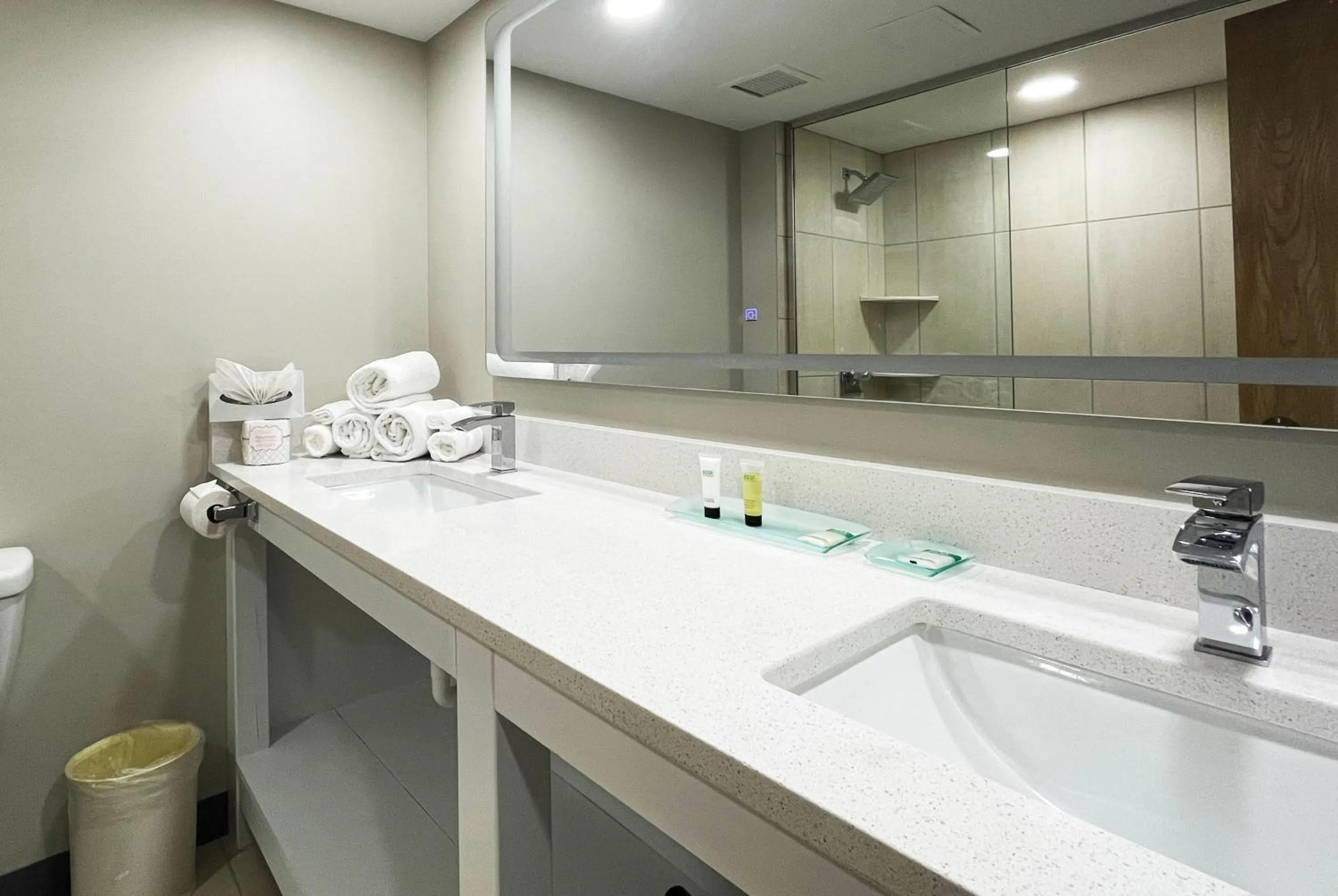 Bathroom in Chateau Hotel and Conference Center