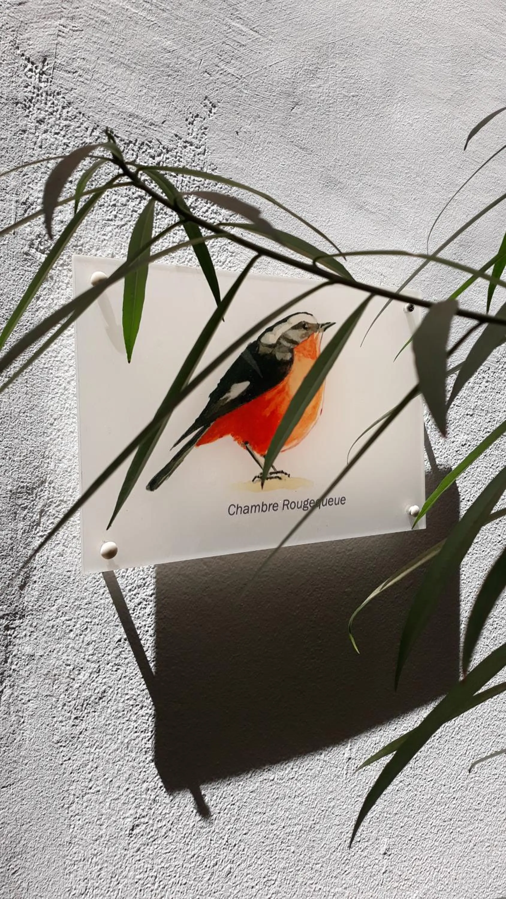 Property logo or sign in Riad Dar Zampa