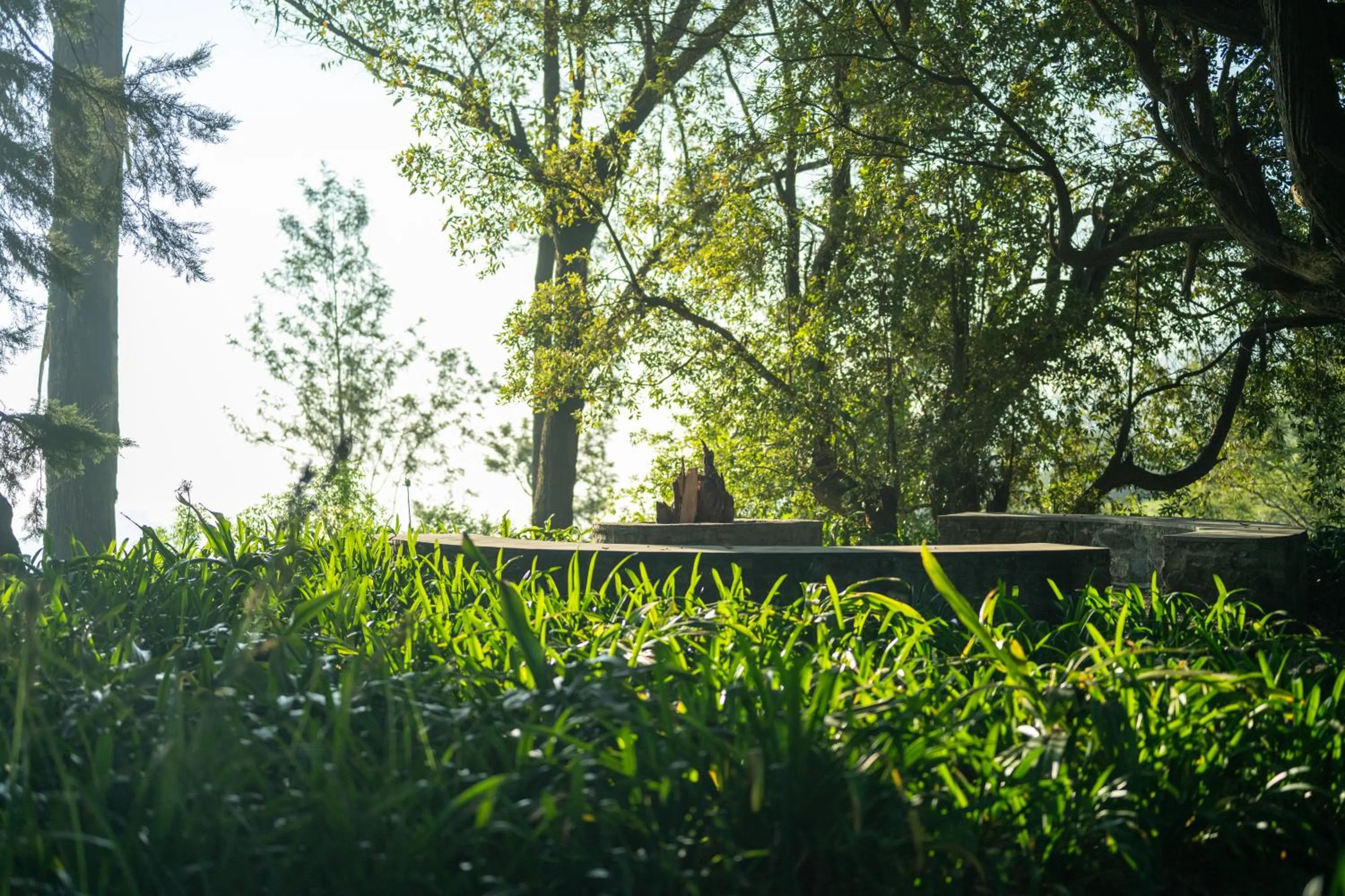 Garden in Goatfell - Nuwara Eliya