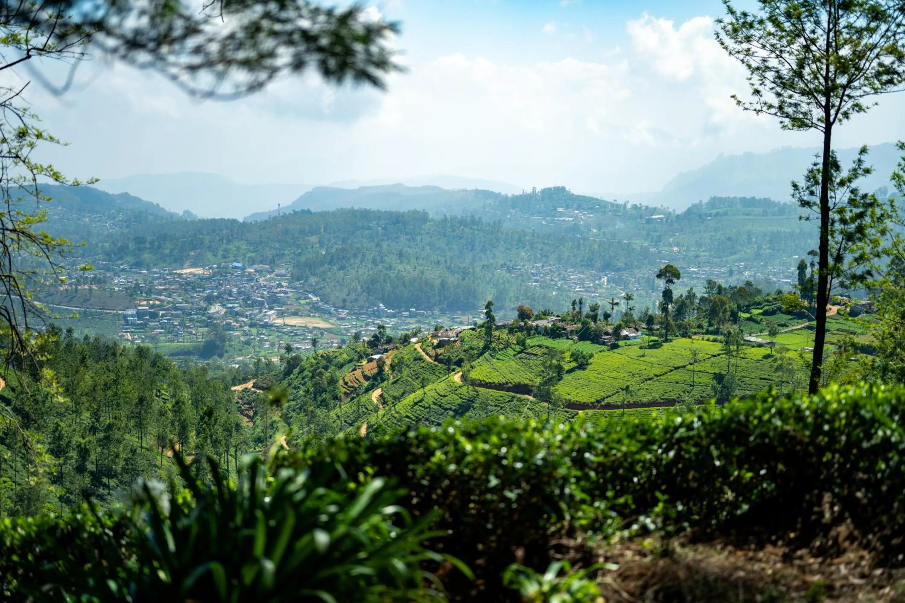 Nearby landmark in Goatfell - Nuwara Eliya