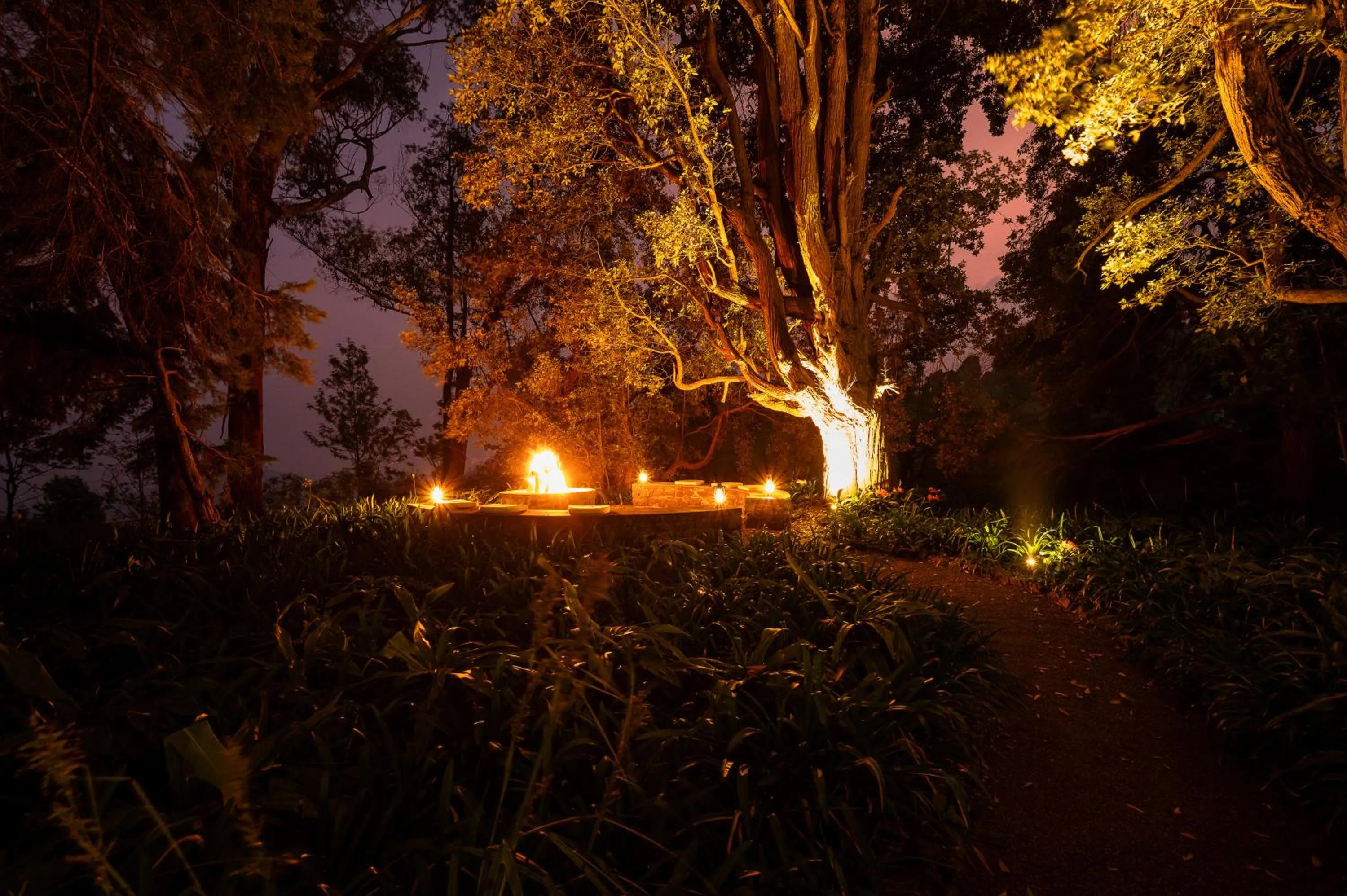 Night in Goatfell - Nuwara Eliya