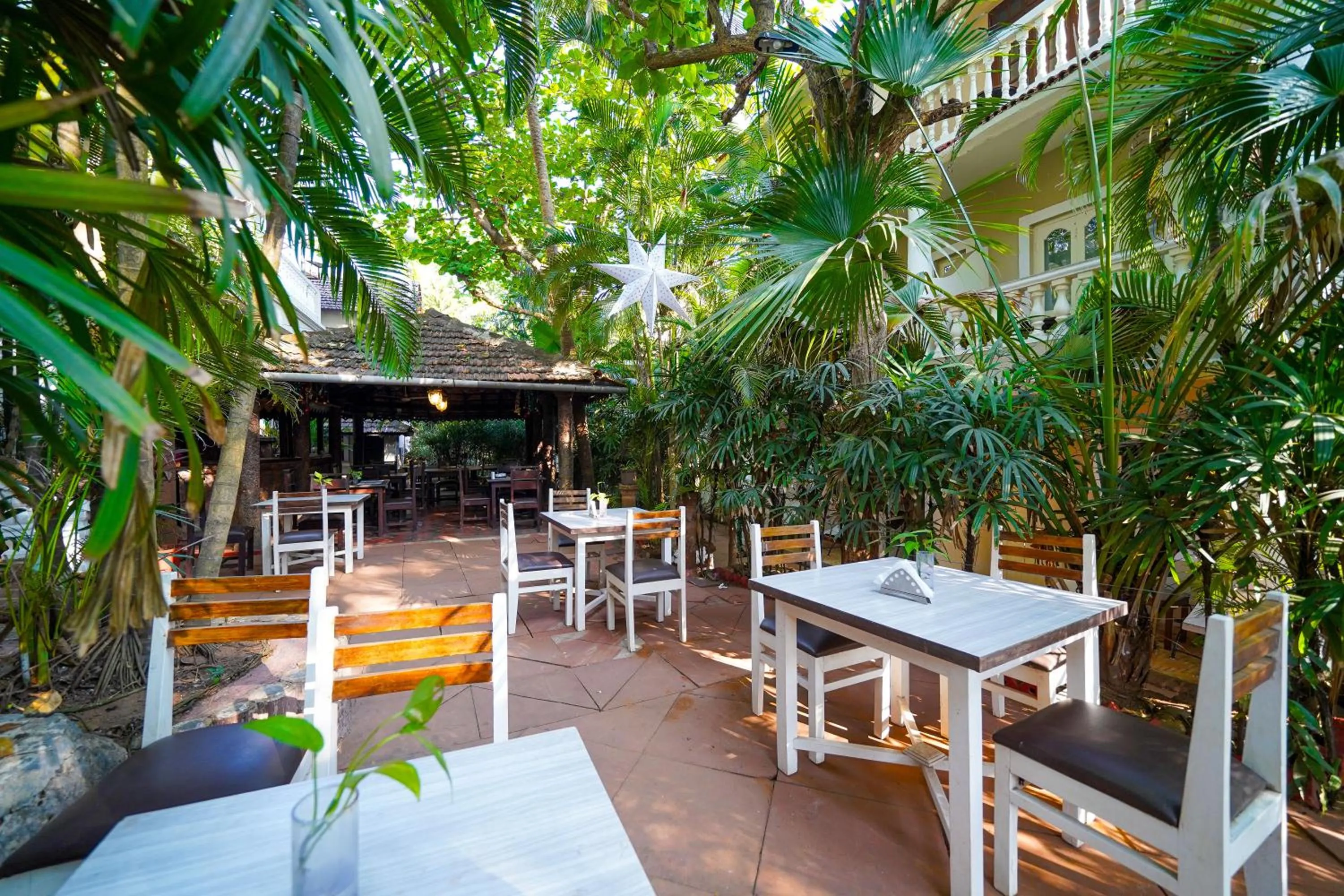 Restaurant/places to eat in Olive Hotel Alidia Beach Resort by Embassy Group