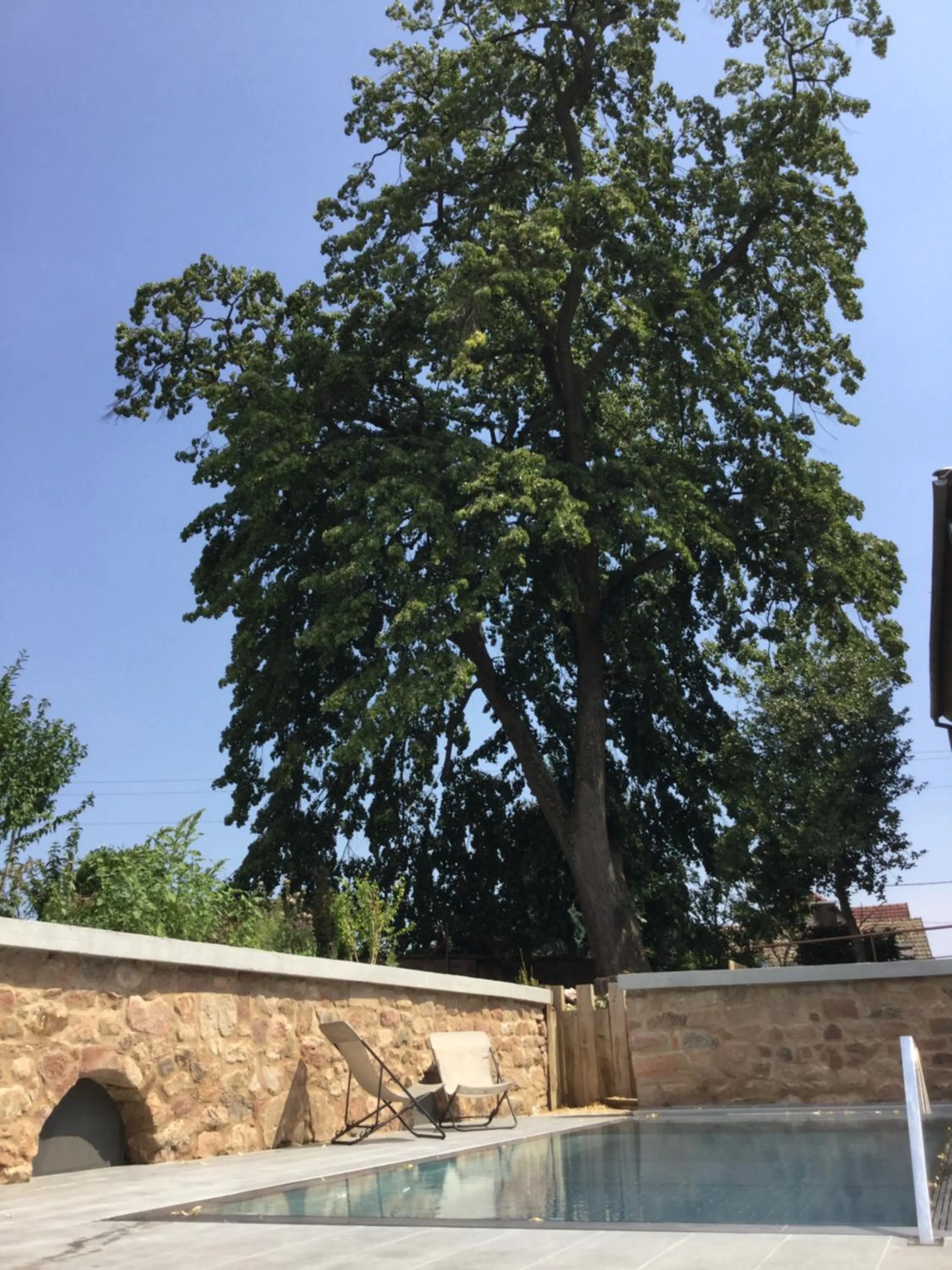 Swimming pool in La Bonneterie