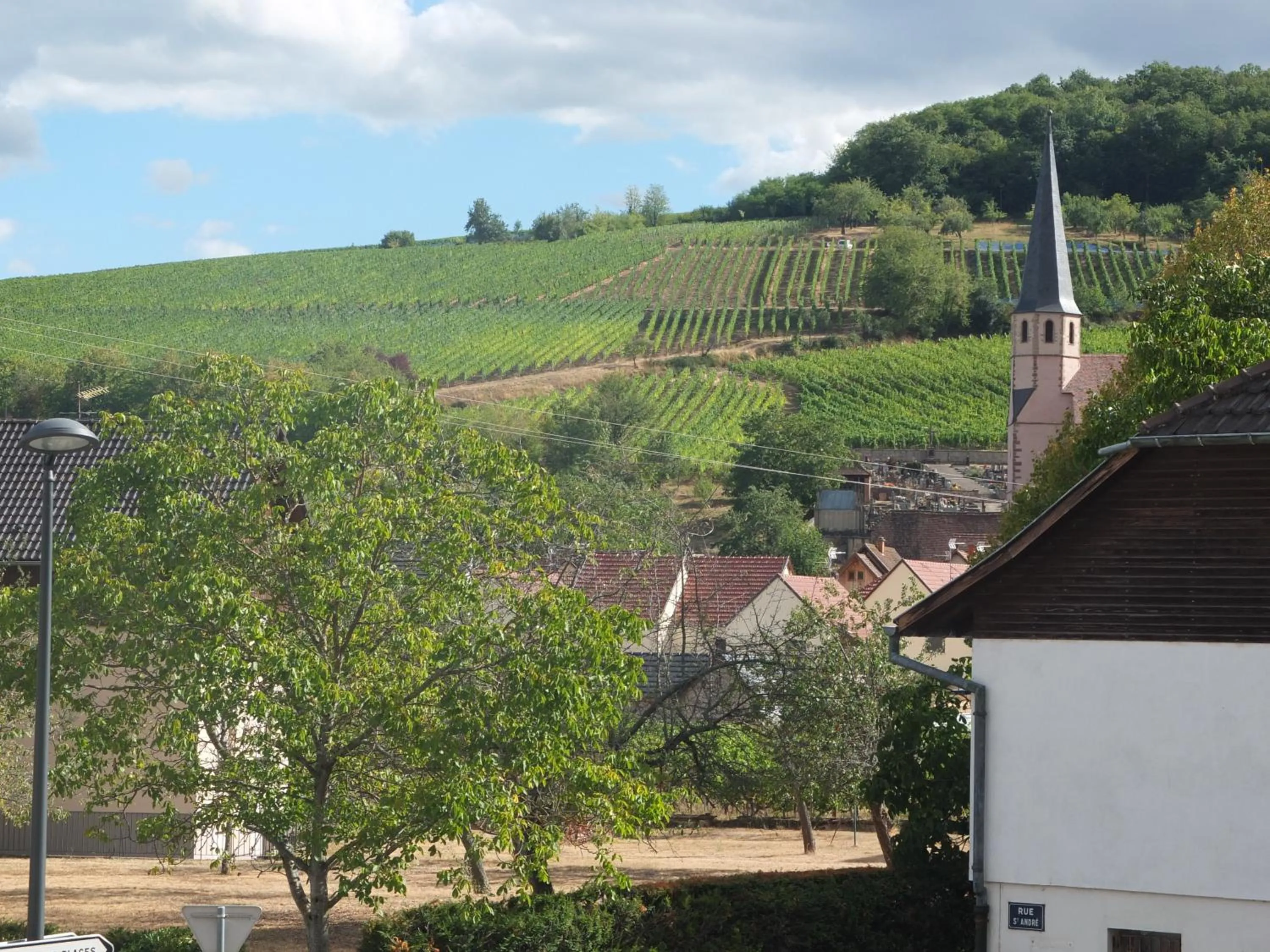 Natural landscape in La Bonneterie