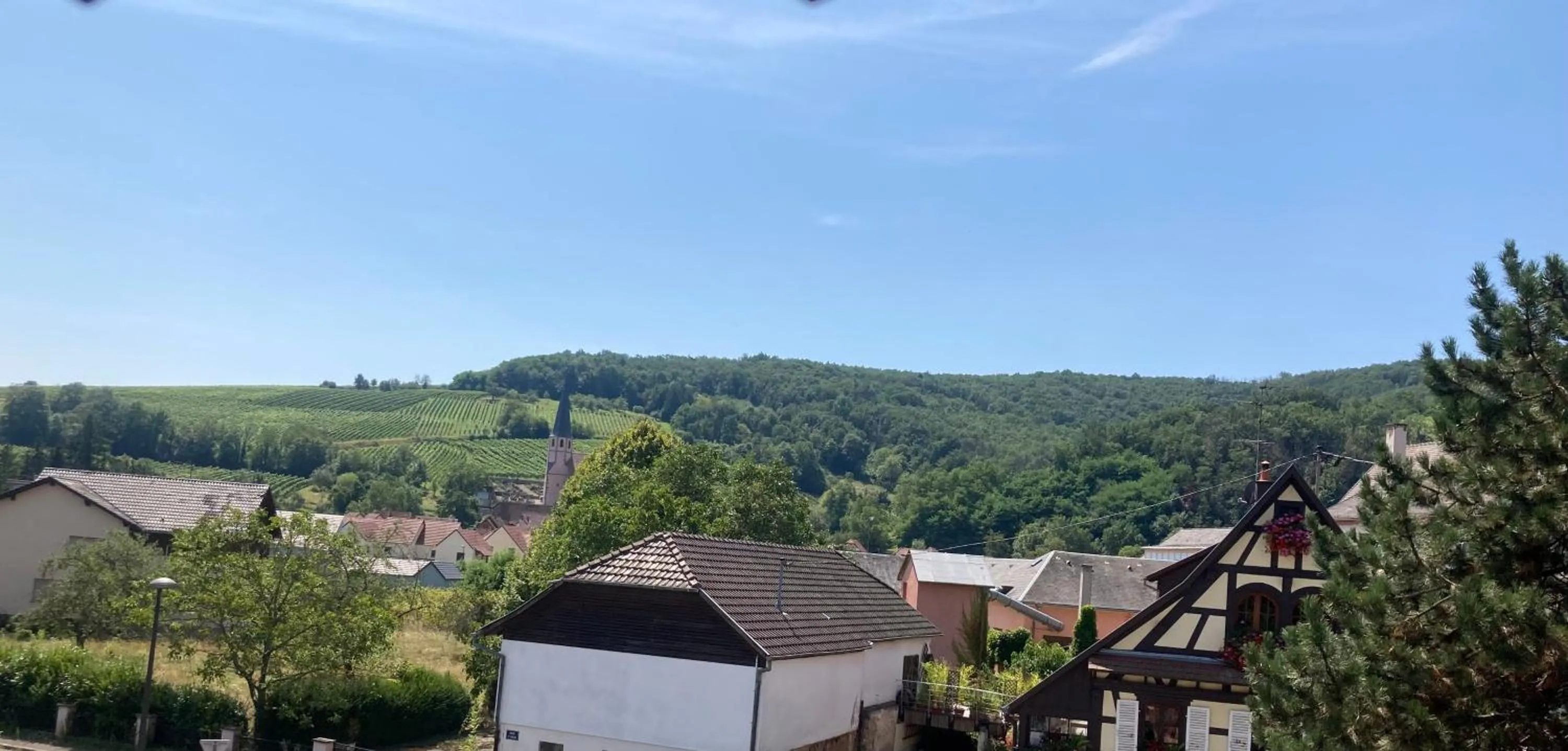 Day in La Bonneterie