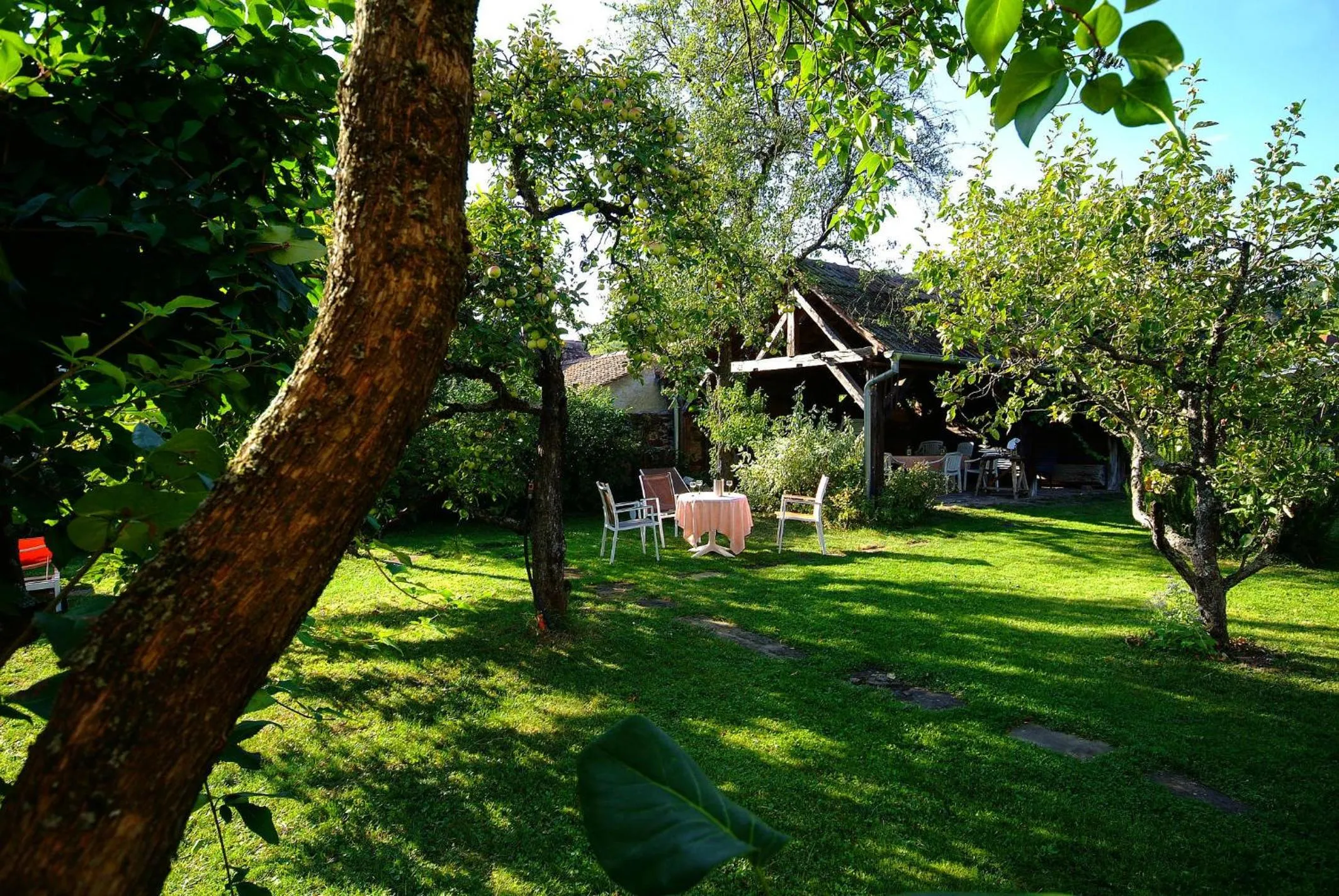 Natural landscape in La Bonneterie