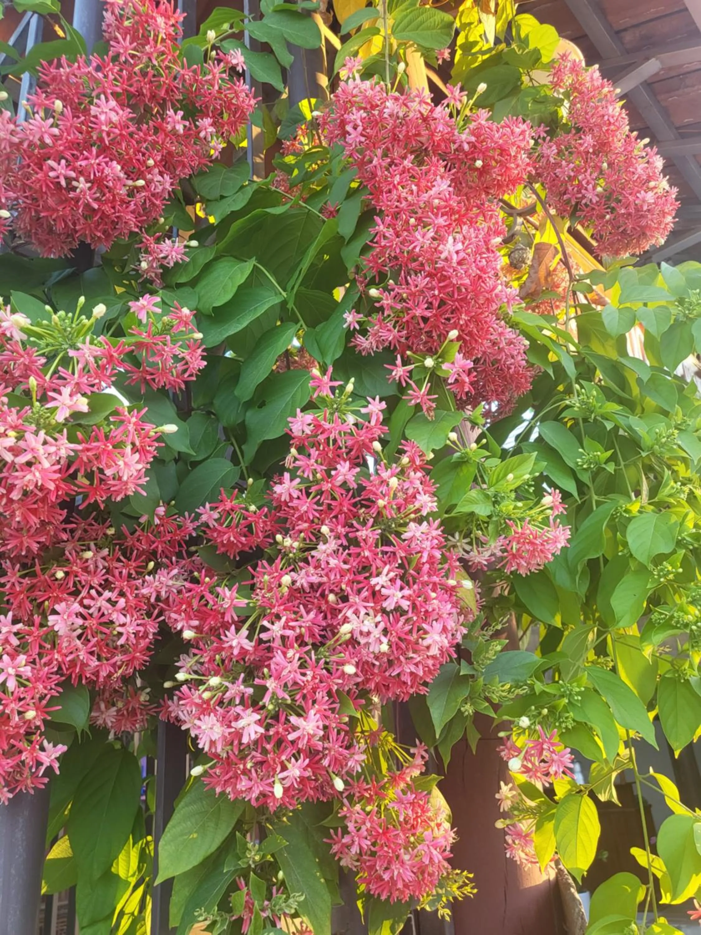 Tam Coc Ngo Đong Homestay