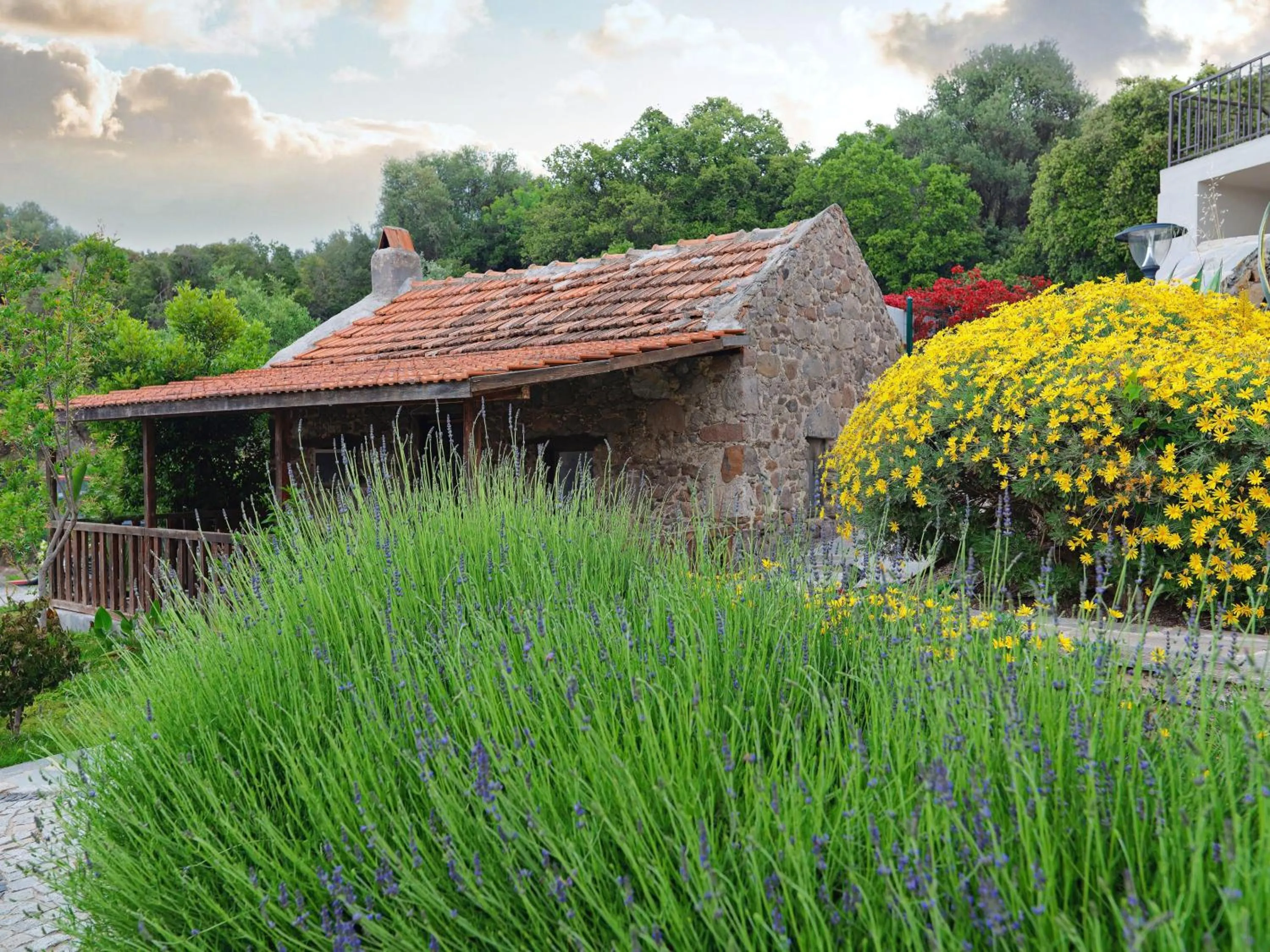 Garden in Dorman Suites